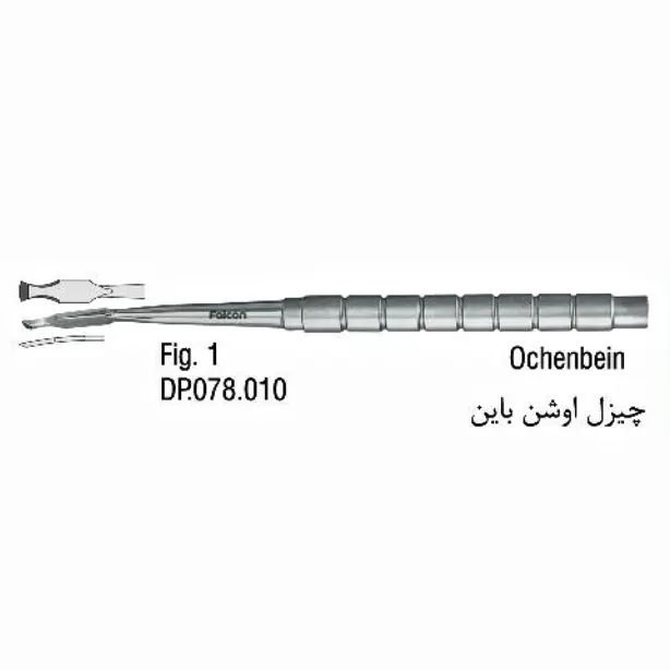 چیزل اوشن بین- فالکن