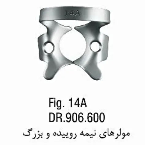 کلمپ مولر نیمه روییده- فالکن - 2