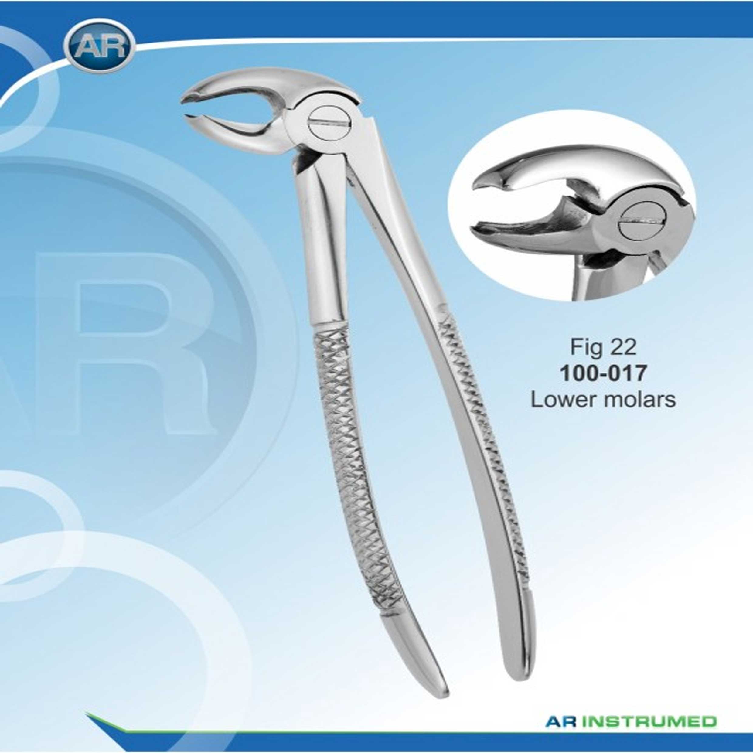 مولار پایین  (AR Instrumed) - 1