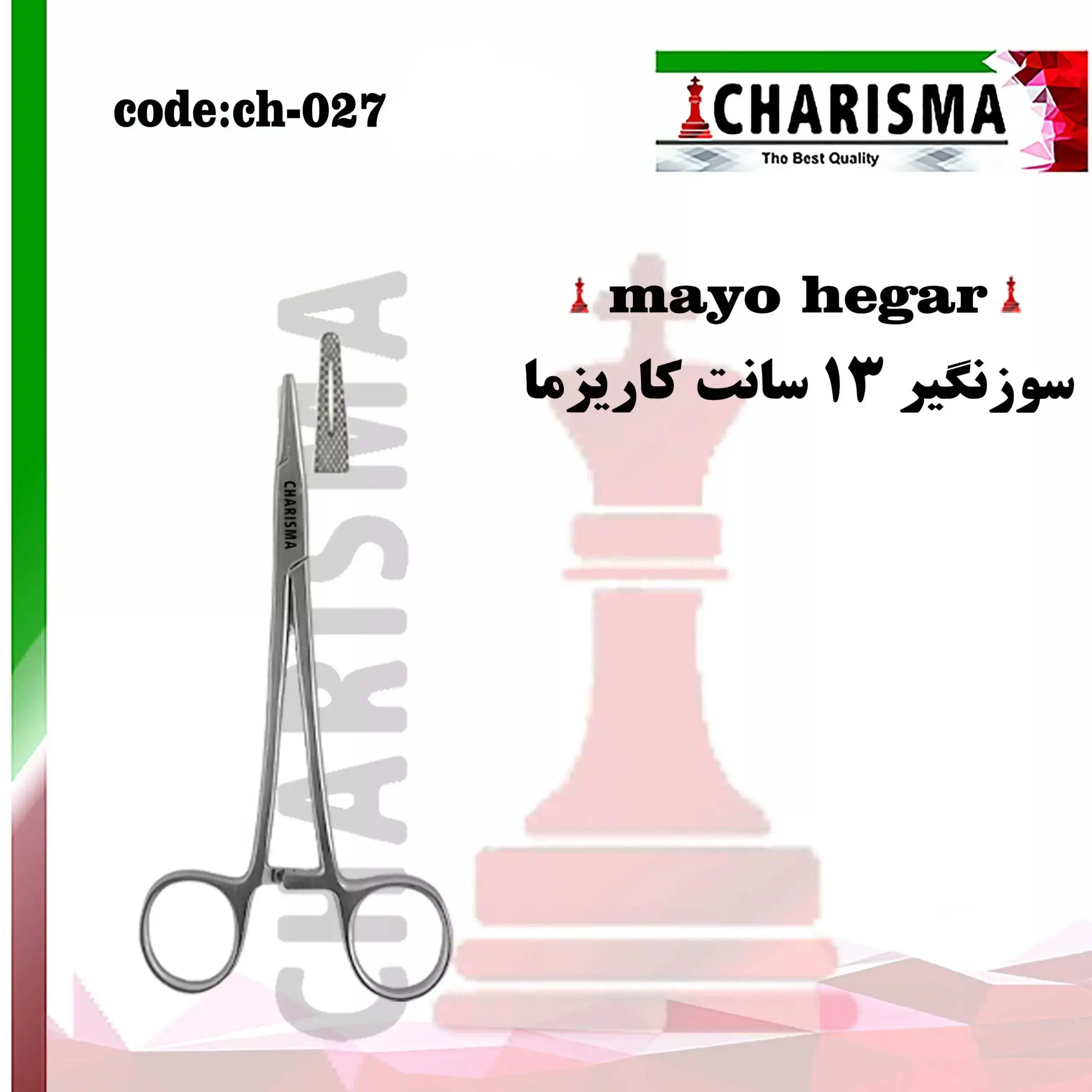 سوزنگیر کاریزما