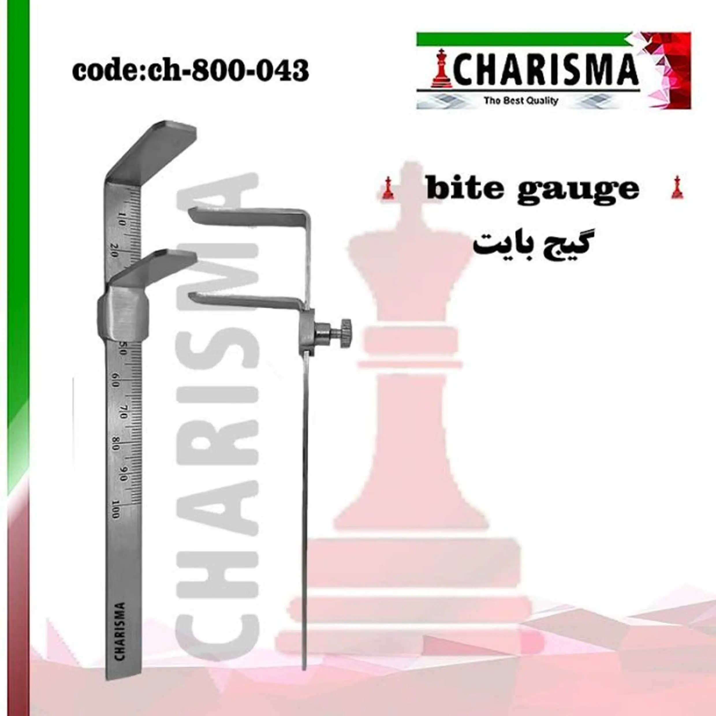 گیج بایت- کاریزما