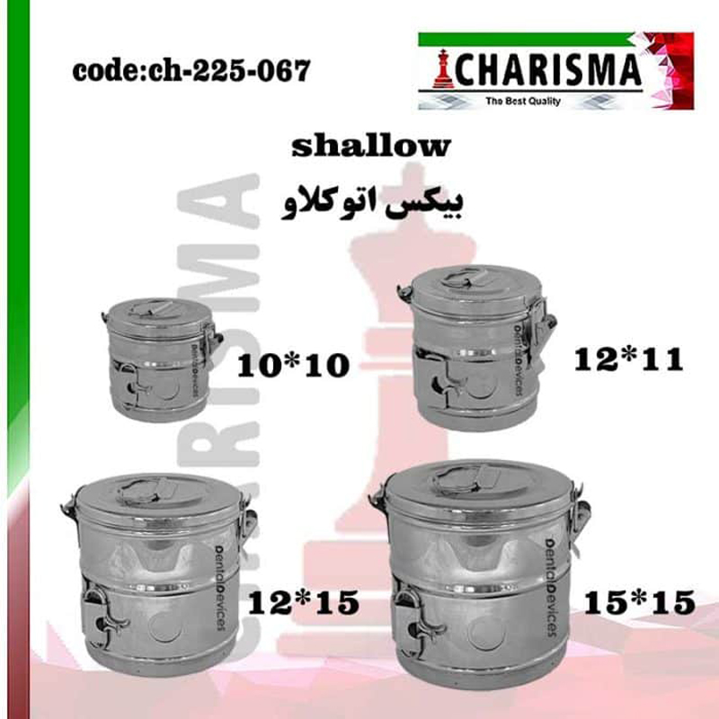 بیکس کاریزما