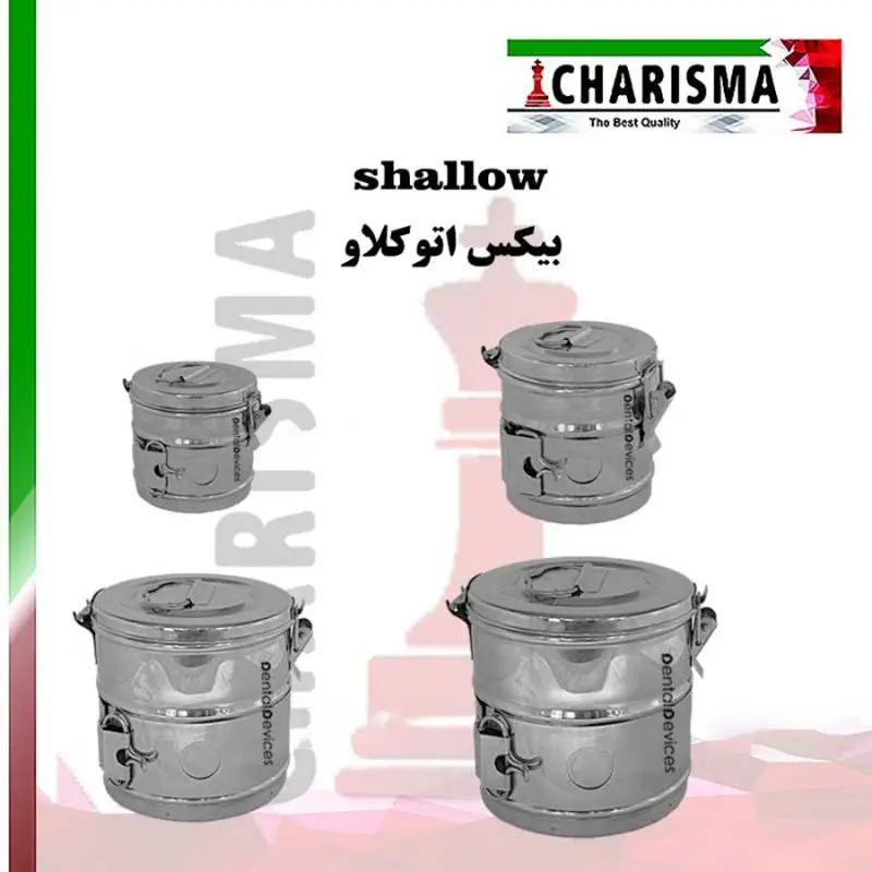بیکس- کاریزما