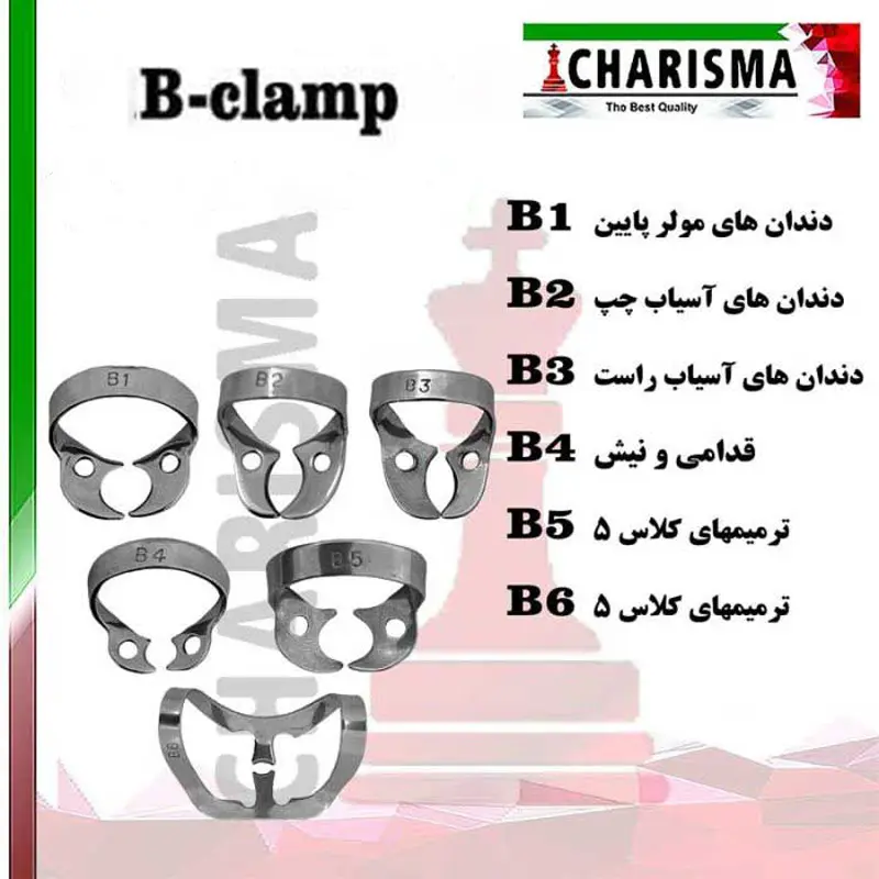 کلمپ تکی سری B استیل کاریزما