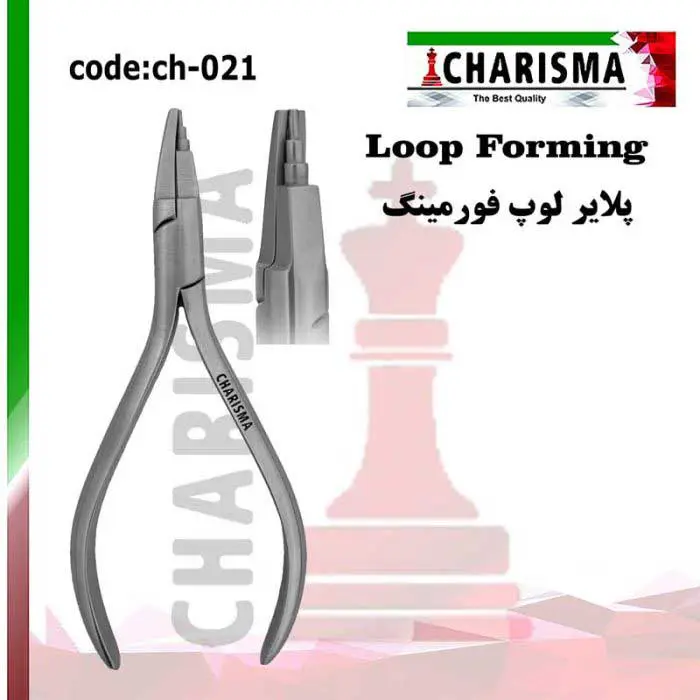 پلایر لوپ فرمینگ- کاریزما