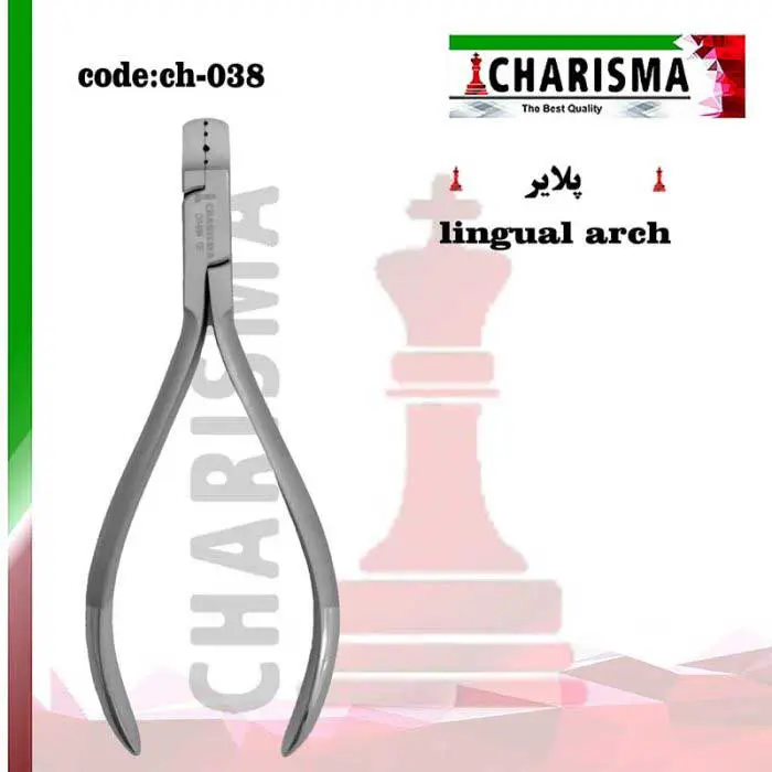 پلایر لینگوال ارچ- کاریزما