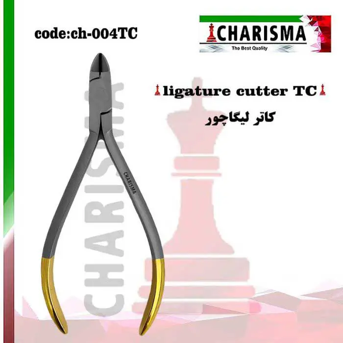 کاتر لیگاچور- کاریزما
