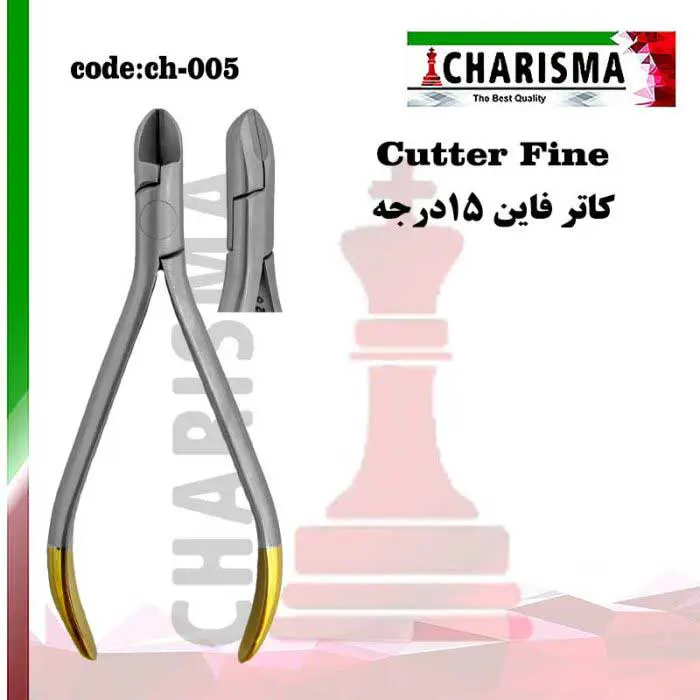 فاین کاتر- کاریزما
