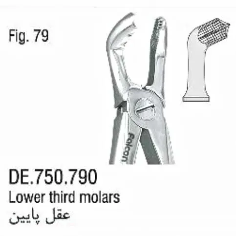 فورسپس ساده عقل پایین- فالکن