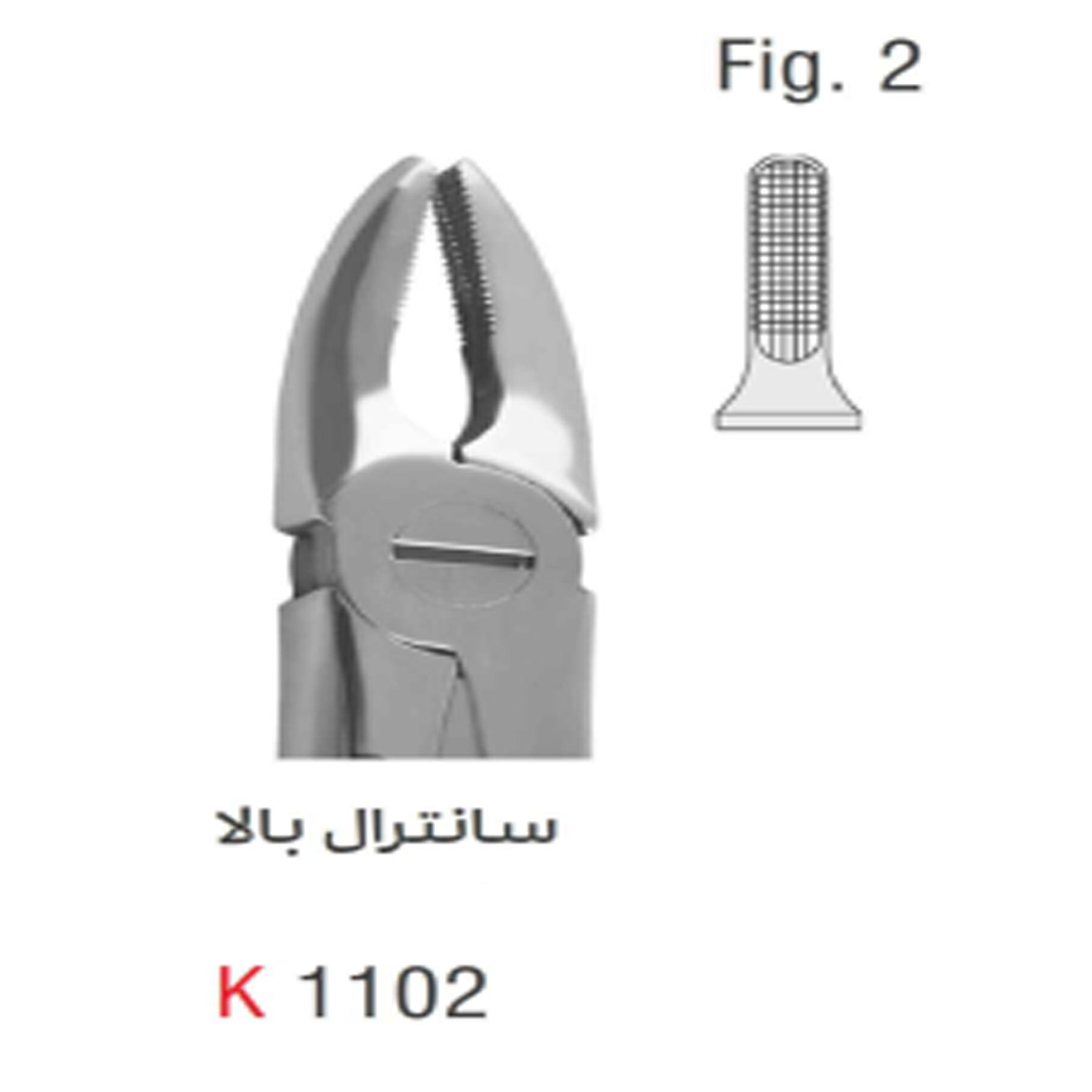 فورسپس بزرگسال سانترال بالا (Kousha)