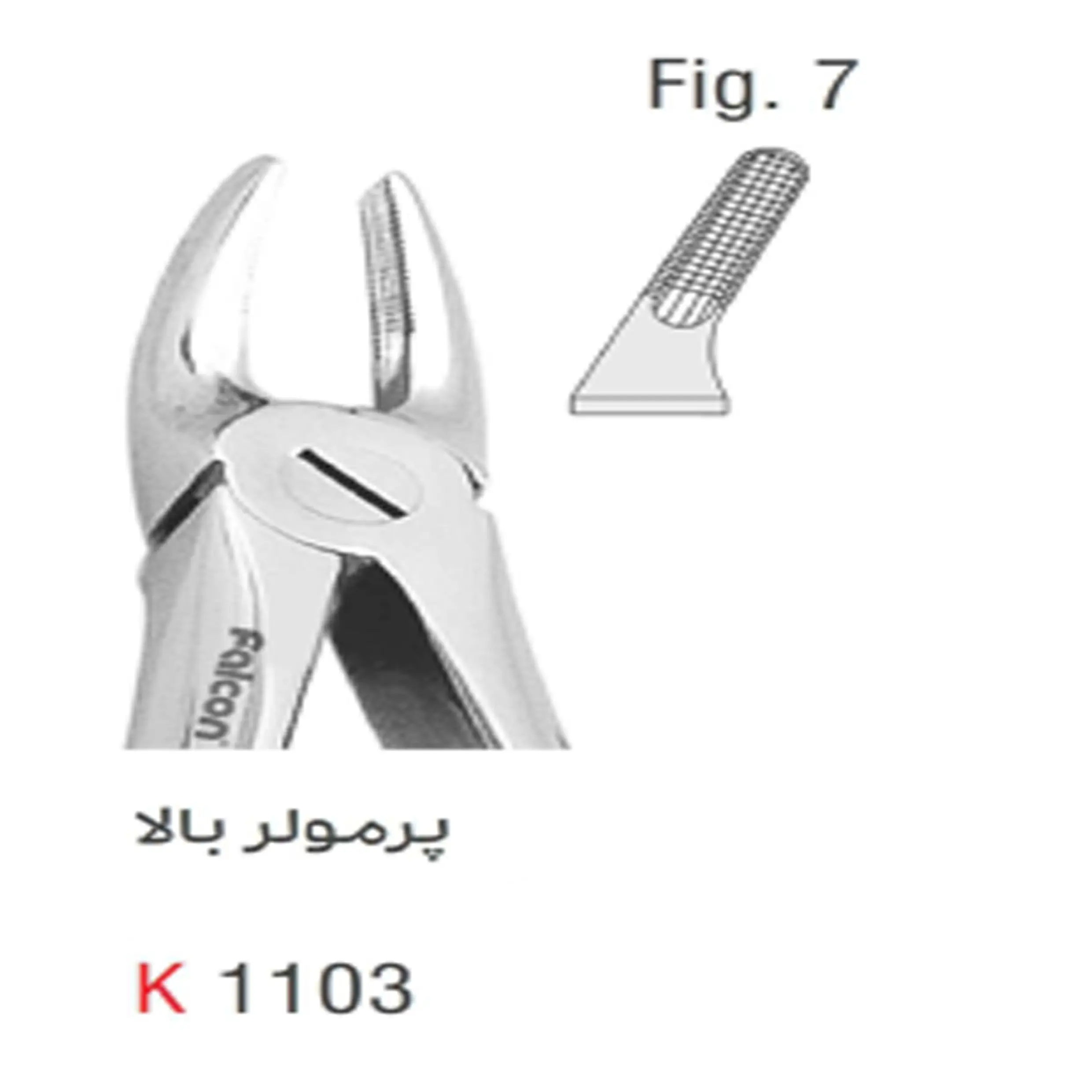 فورسپس بزرگسال پرمولر بالا- کوشا