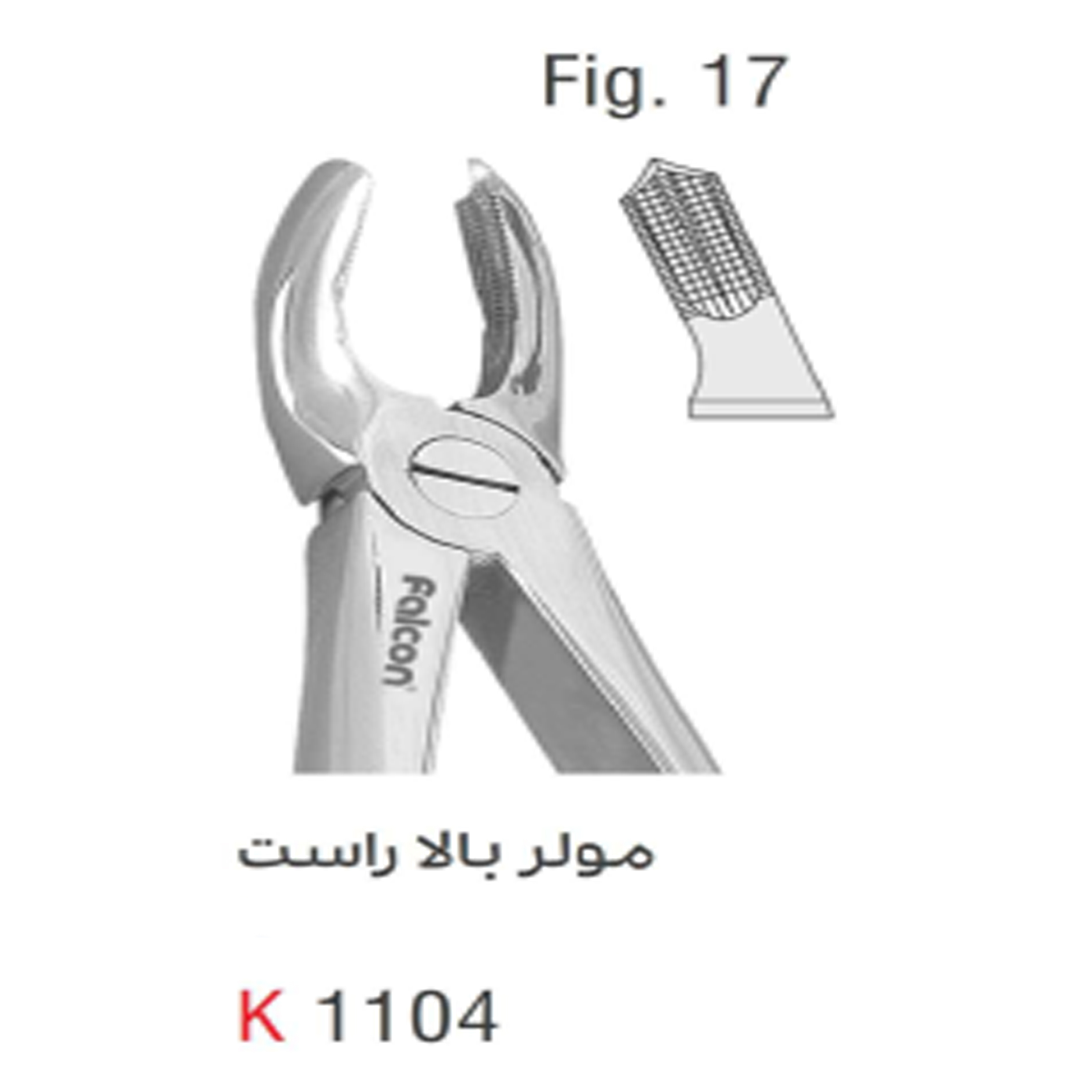 فورسپس بزرگسال مولر بالا راست (Kousha)