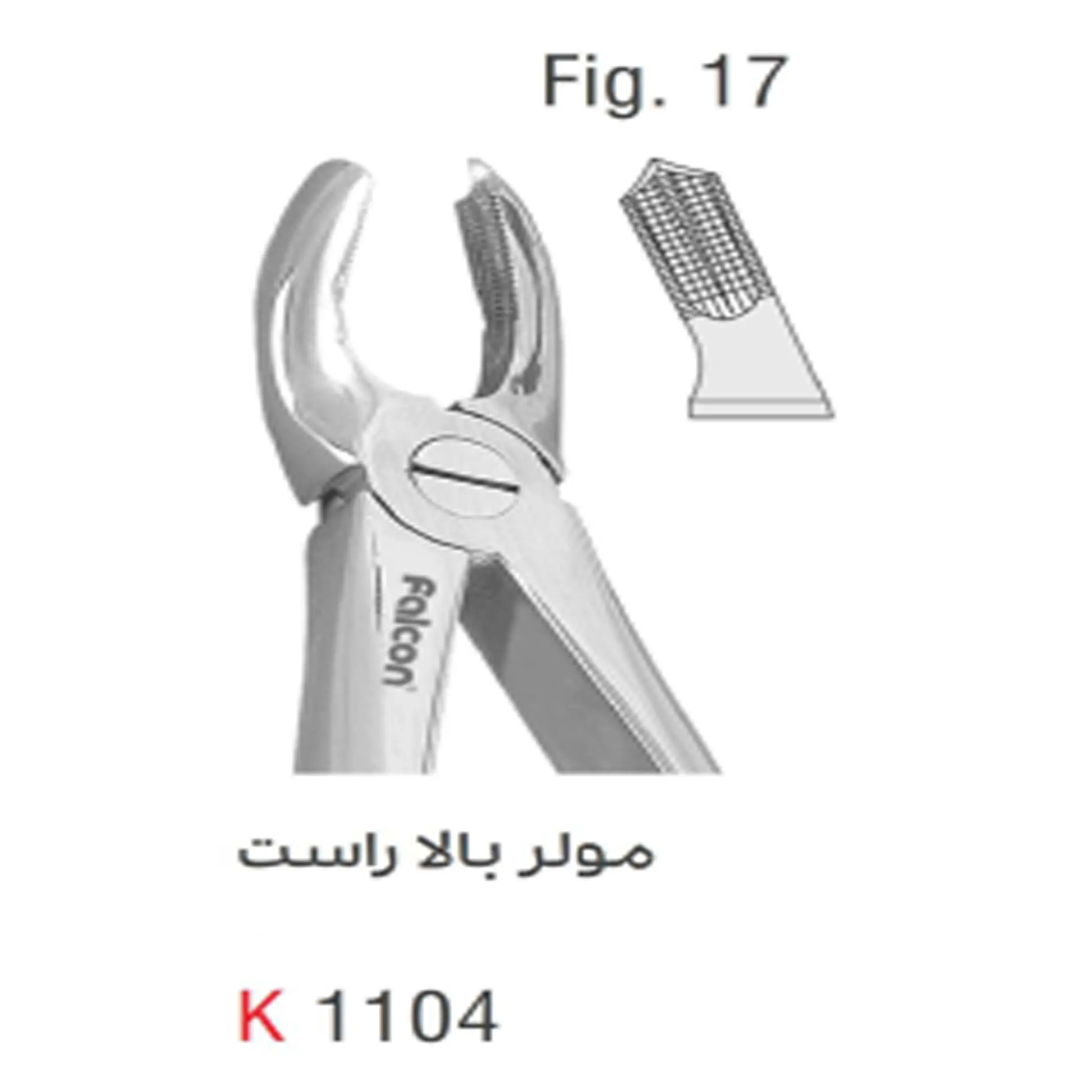 فورسپس بزرگسال مولر بالا راست- کوشا