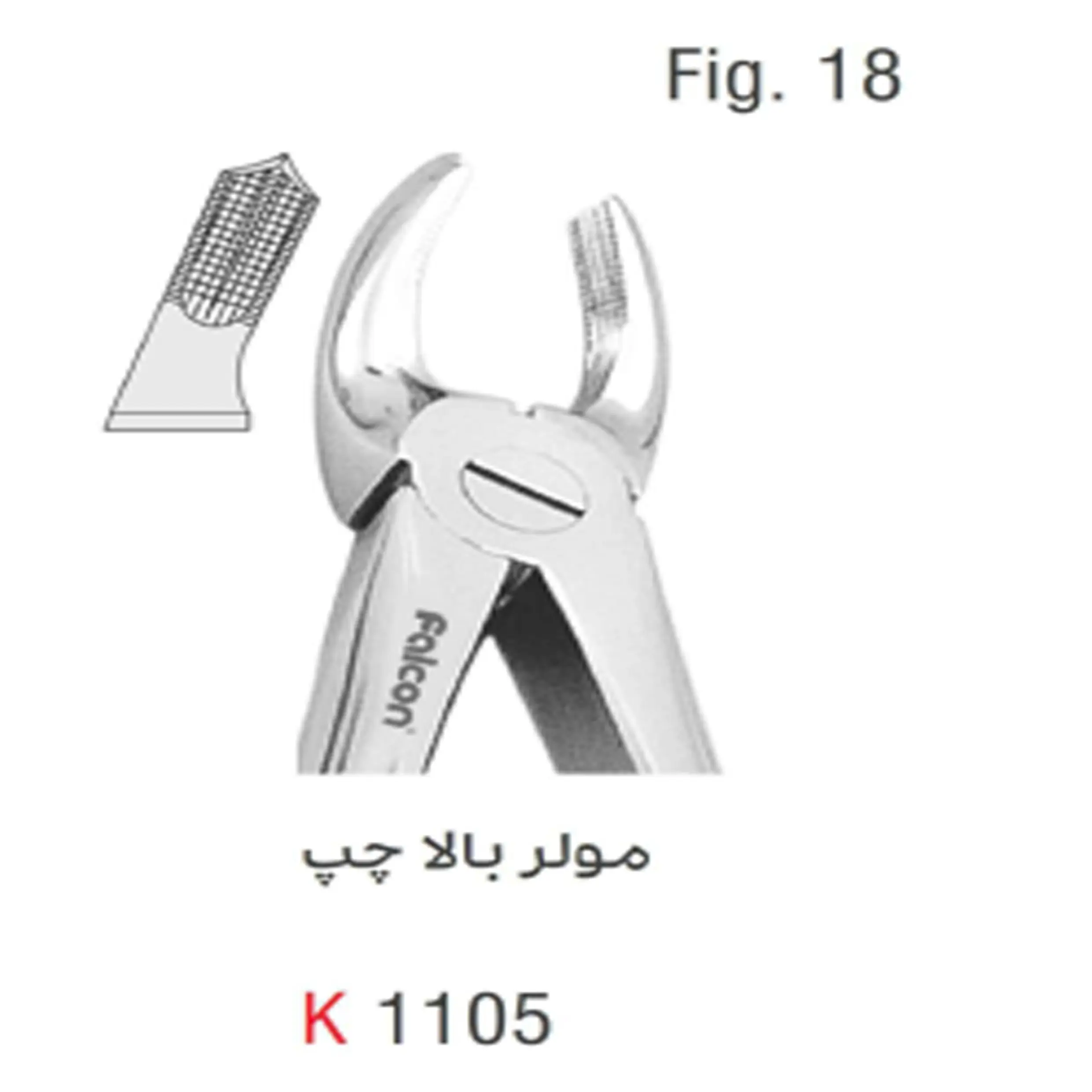 فورسپس بزرگسال مولر بالا چپ- کوشا