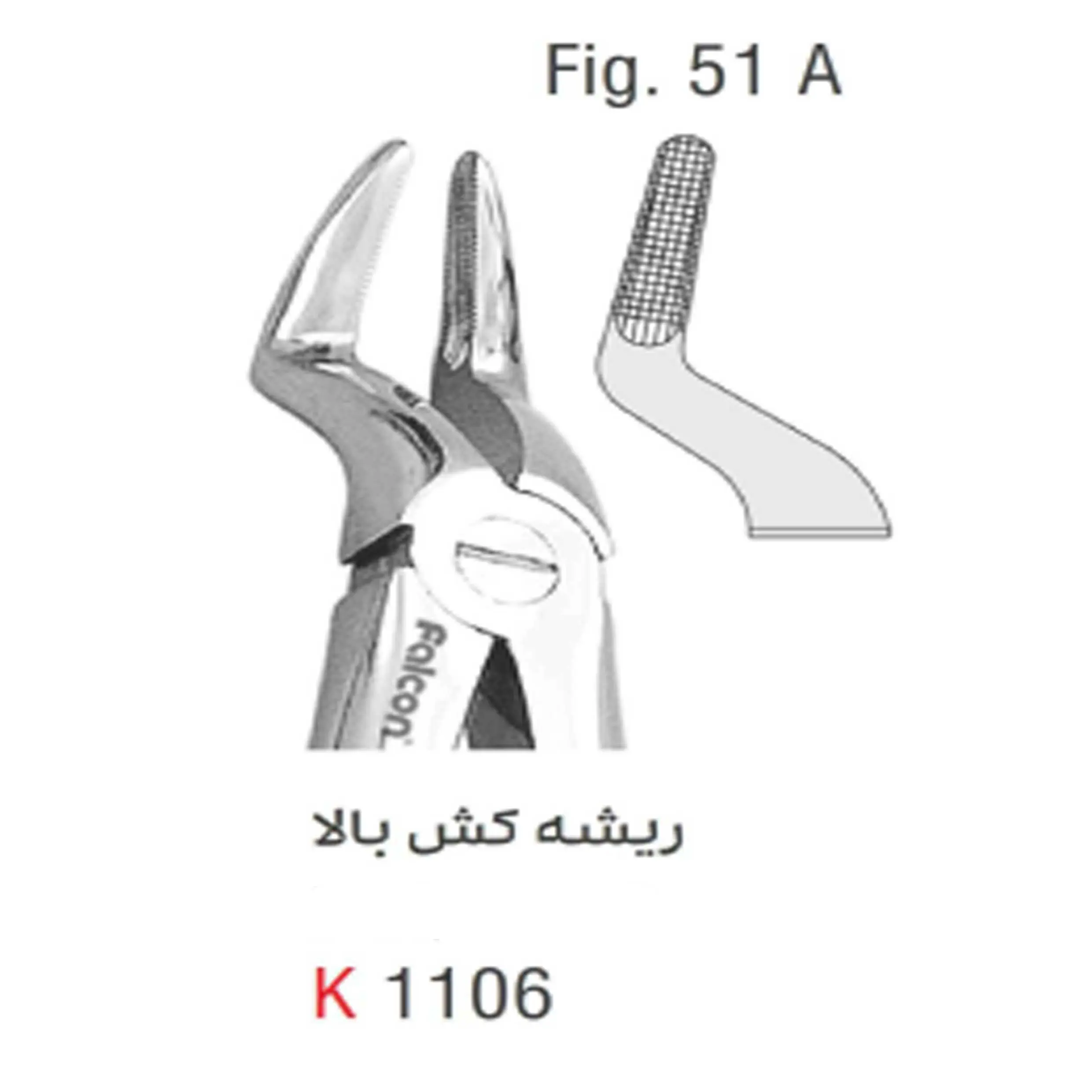 فورسپس بزرگسال ریشه کش بالا- کوشا