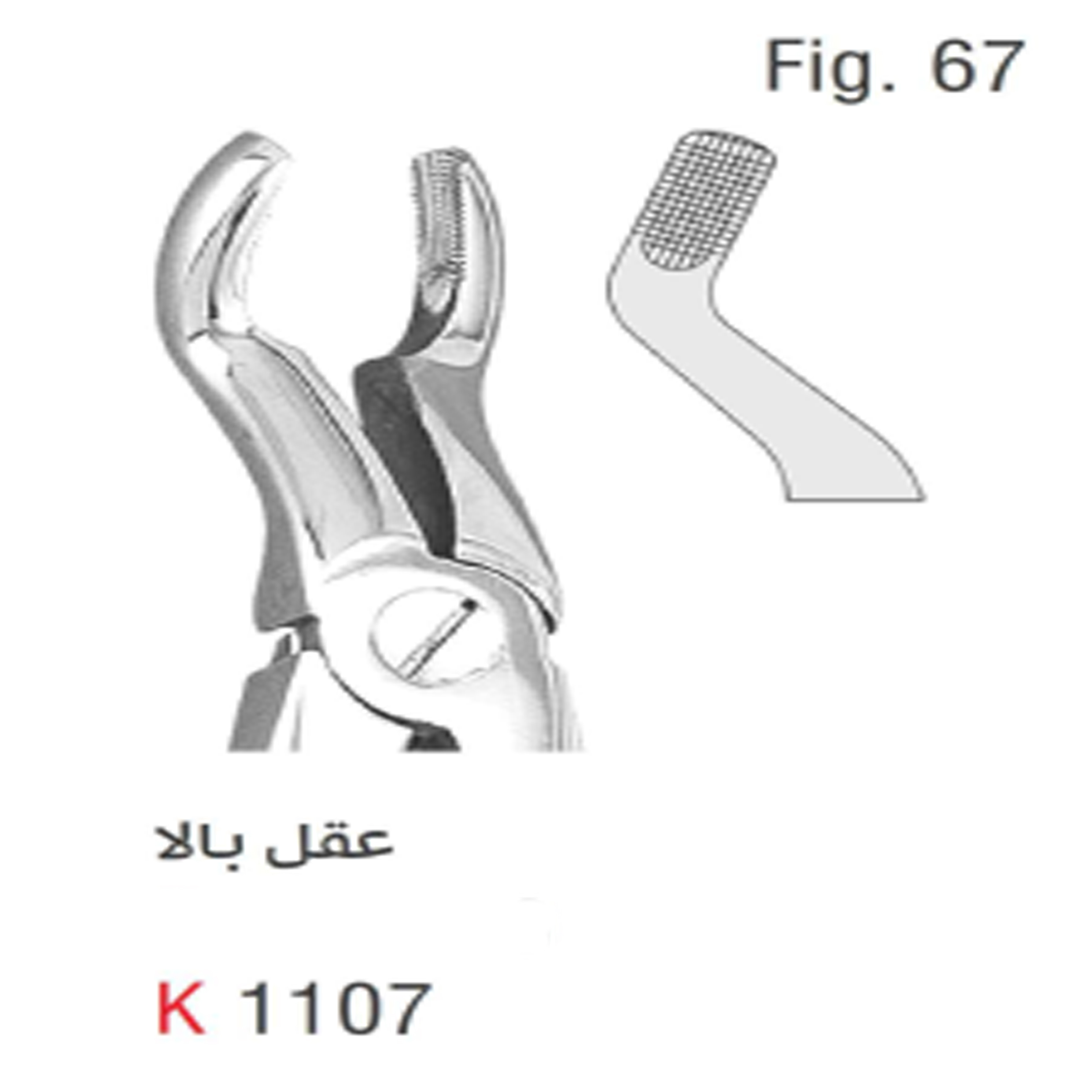 فورسپس بزرگسال عقل بالا (Kousha)