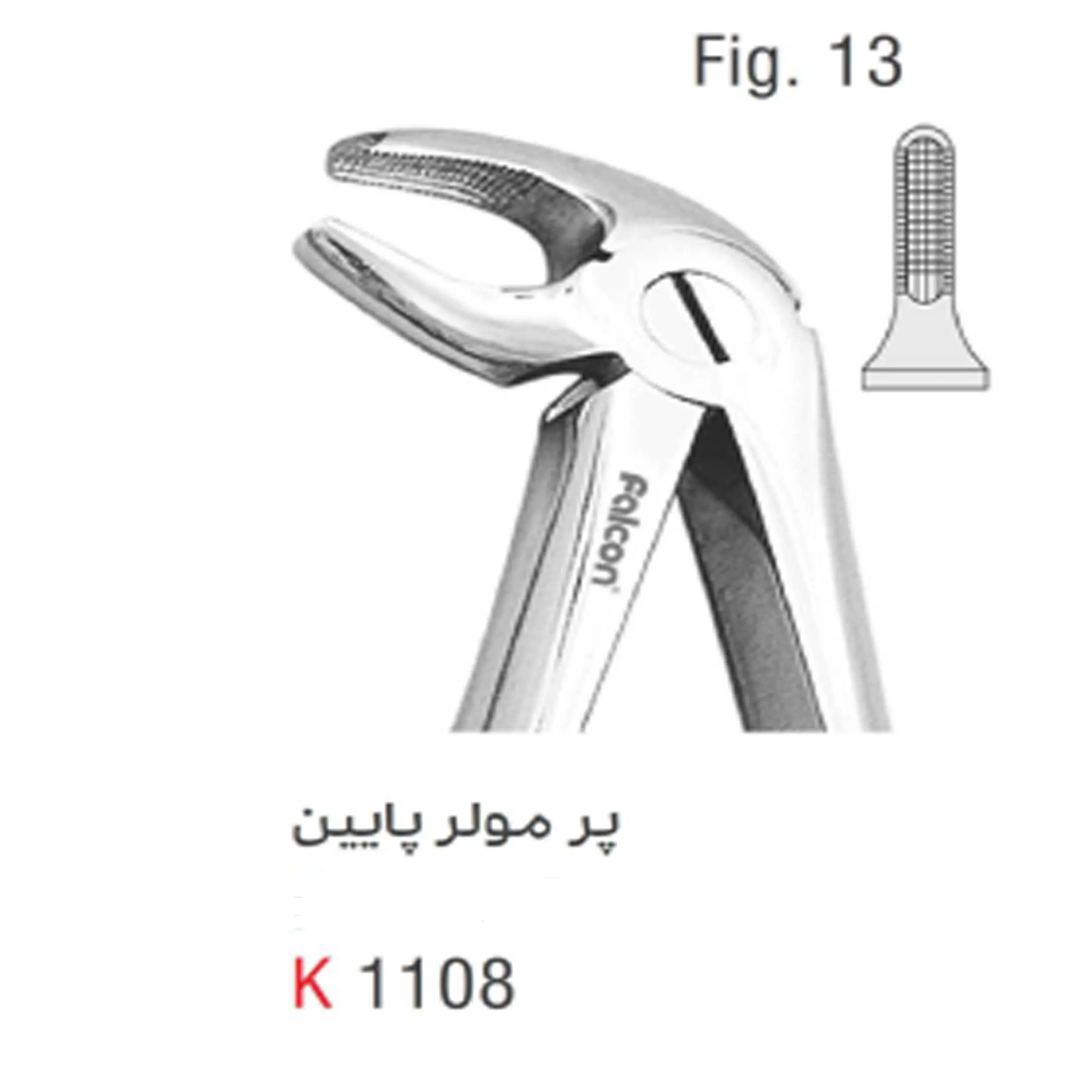 فورسپس بزرگسال پرمولر پایین- کوشا