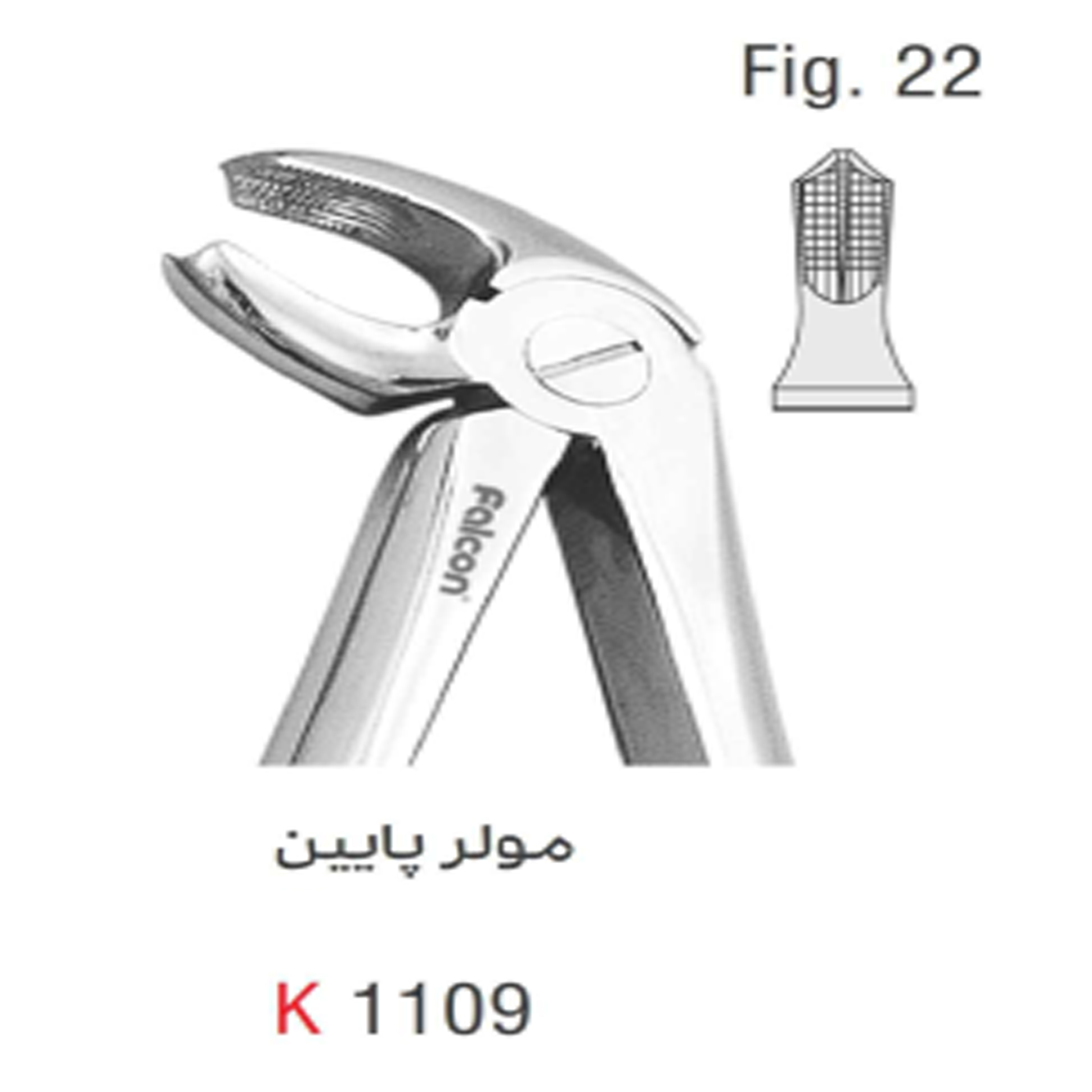 فورسپس بزرگسال مولر پایین (Kousha)