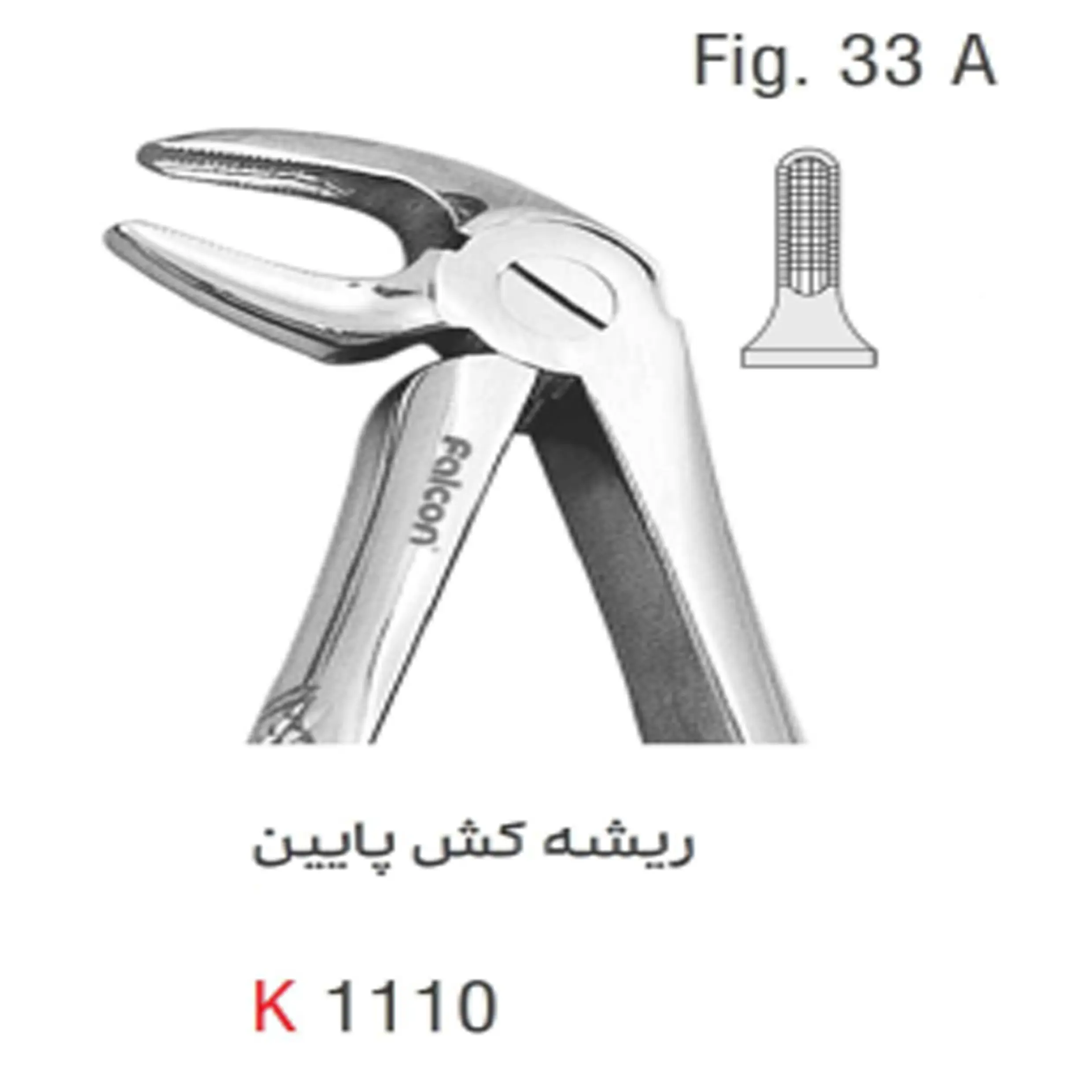 فورسپس بزرگسال ریشه کش پایین- کوشا
