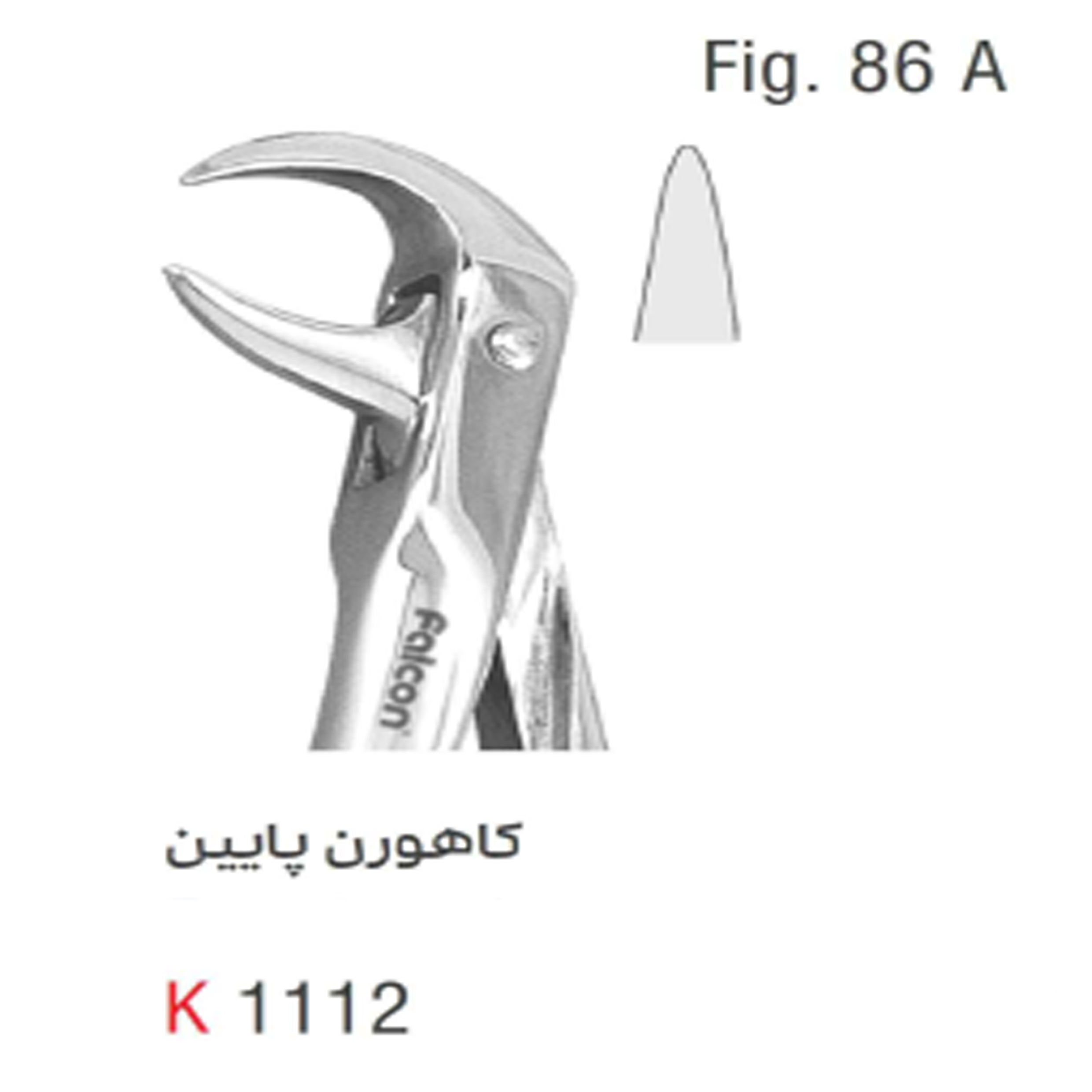 فورسپس بزرگسال کاهورن پایین (Kousha)