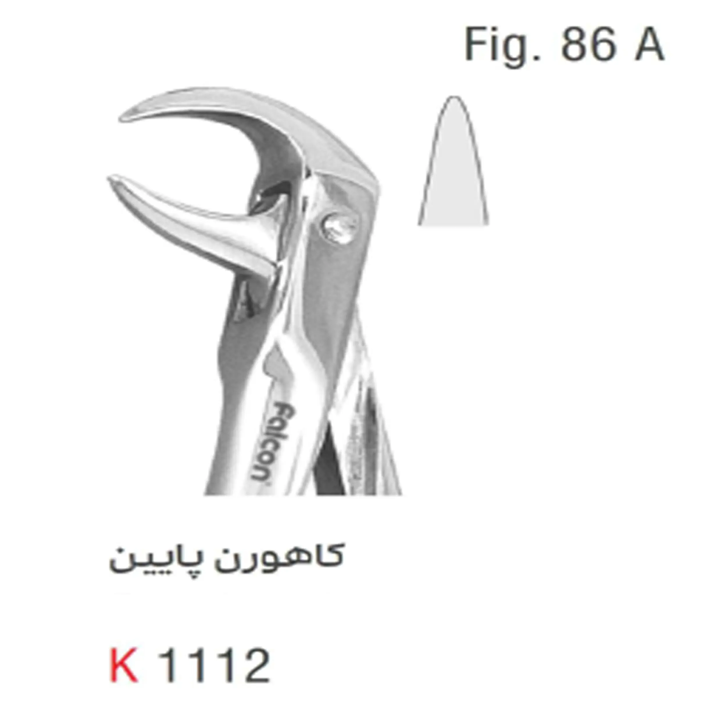 فورسپس بزرگسال کاهورن پایین-کوشا