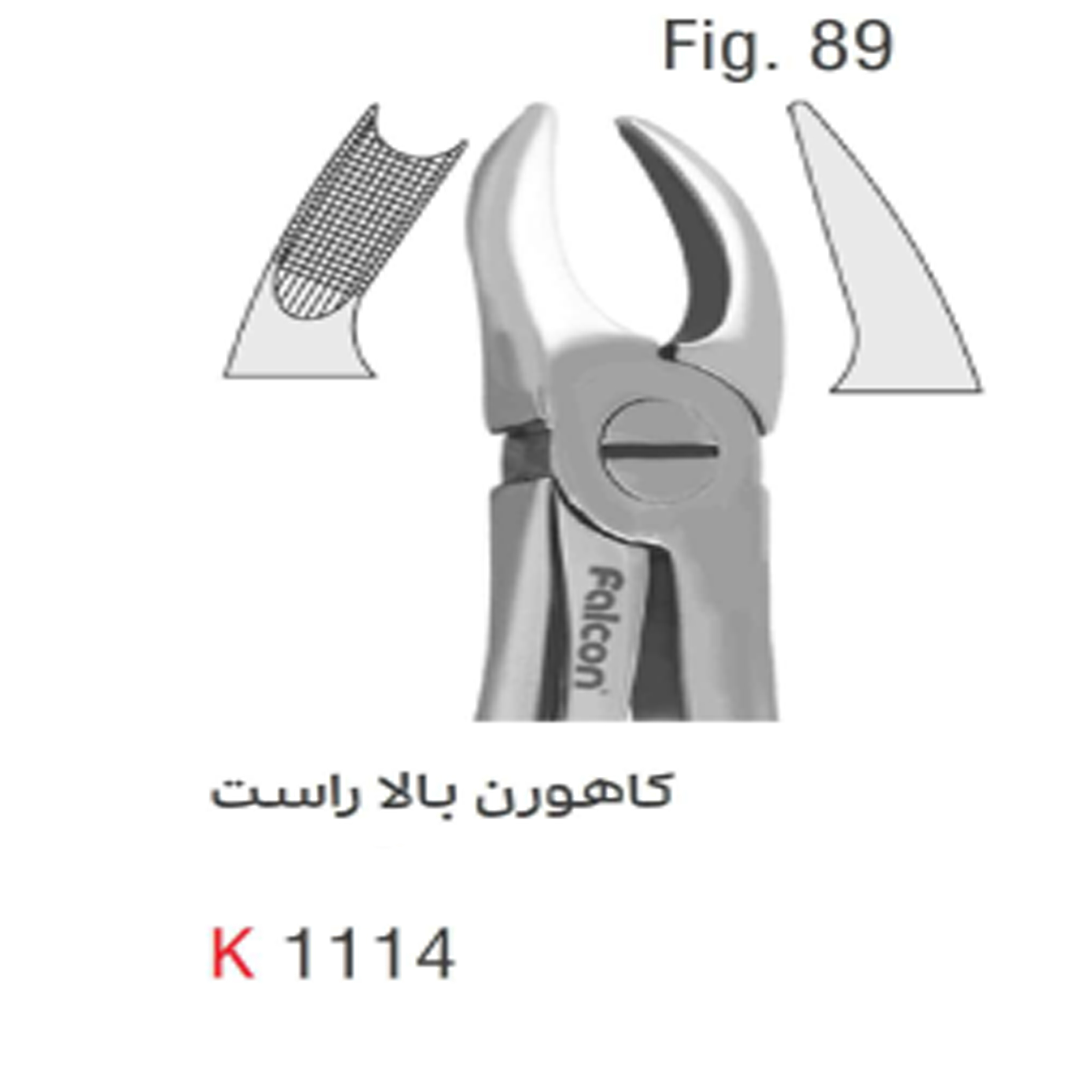 فورسپس بزرگسال کاهورن بالا راست (Kousha) - 1