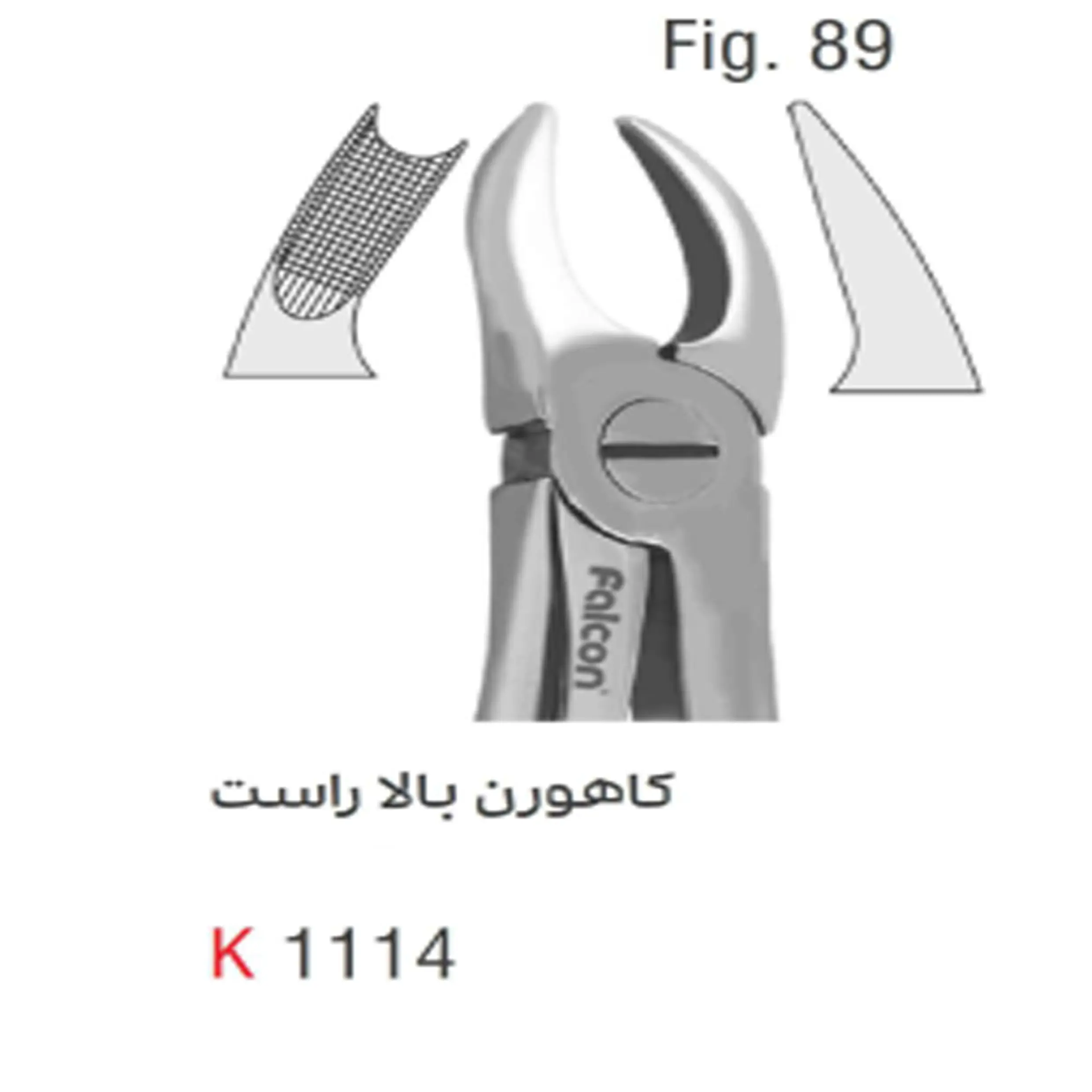 فورسپس بزرگسال کاهورن بالا راست- کوشا