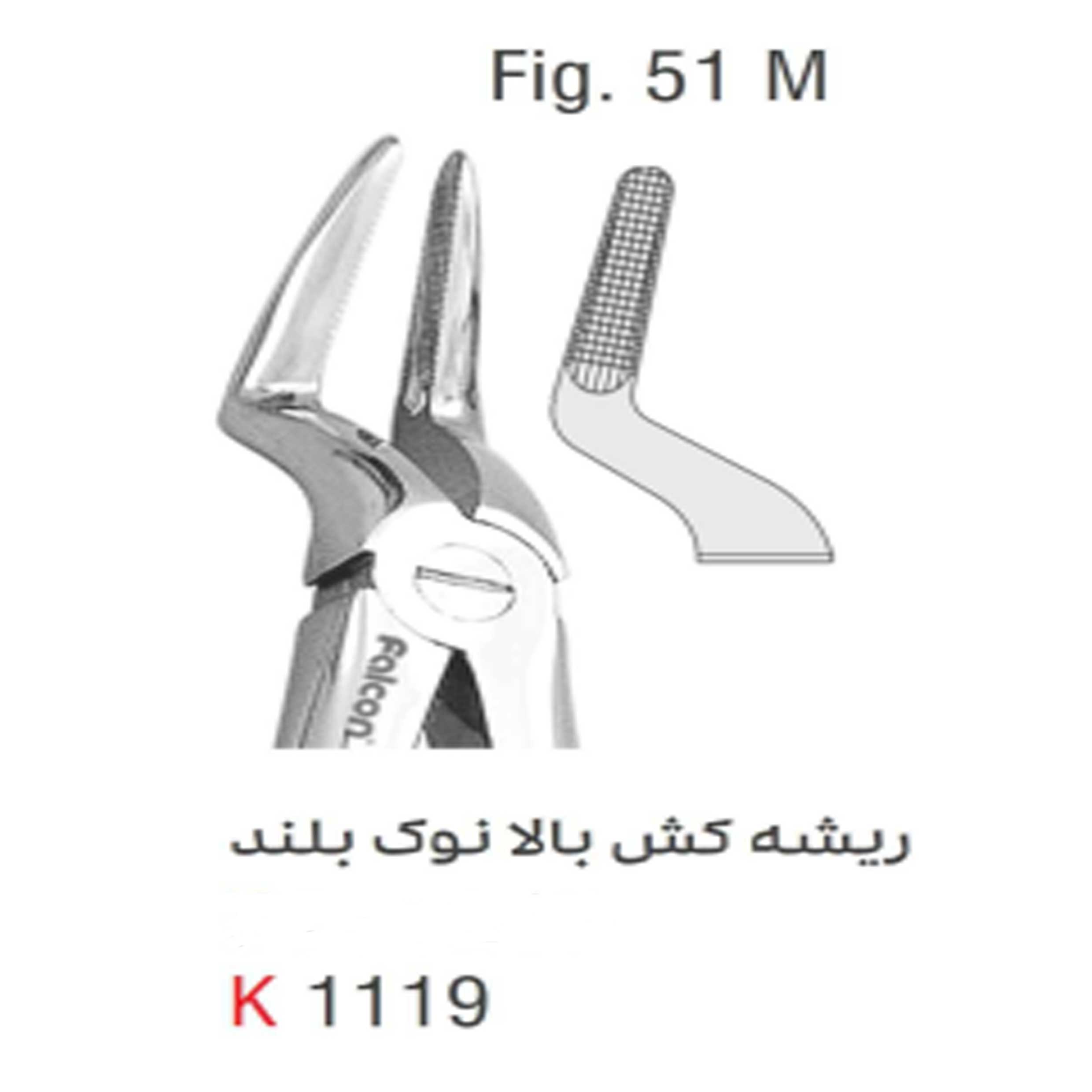 فورسپس بزرگسال ریشه کش بالا بلند (Kousha) - 1