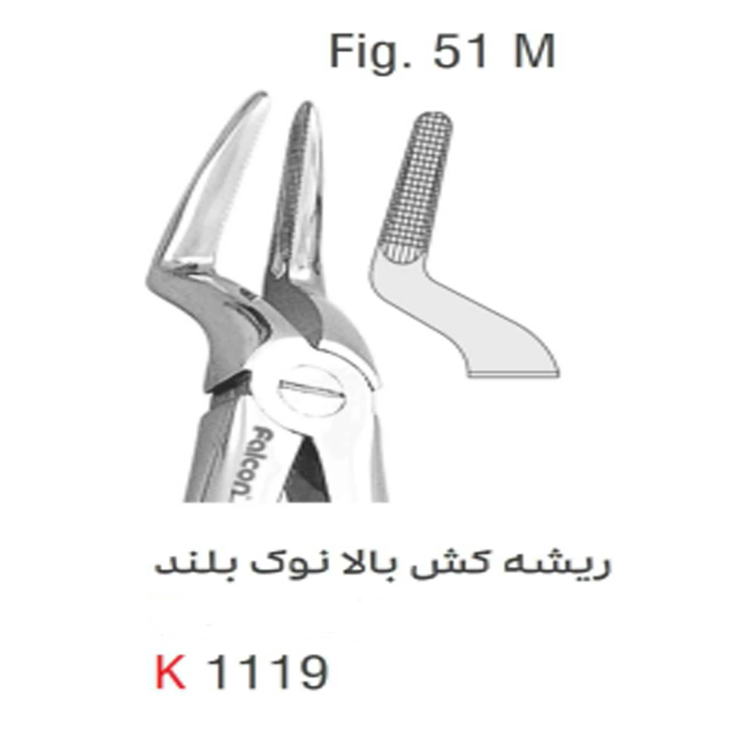 فورسپس بزرگسال ریشه کش بالا بلند- کوشا