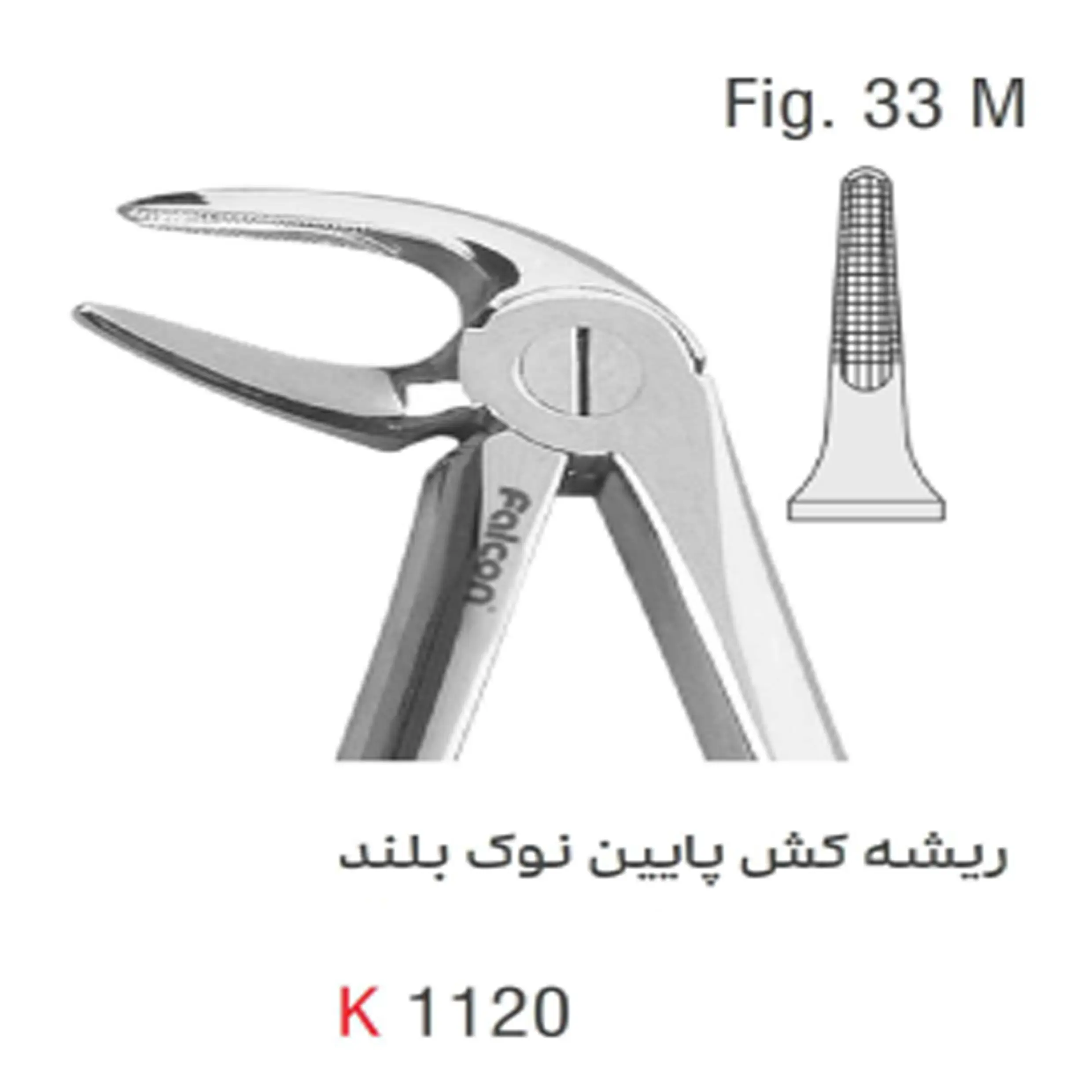 فورسپس بزرگسال ریشه کش پایین بلند- کوشا