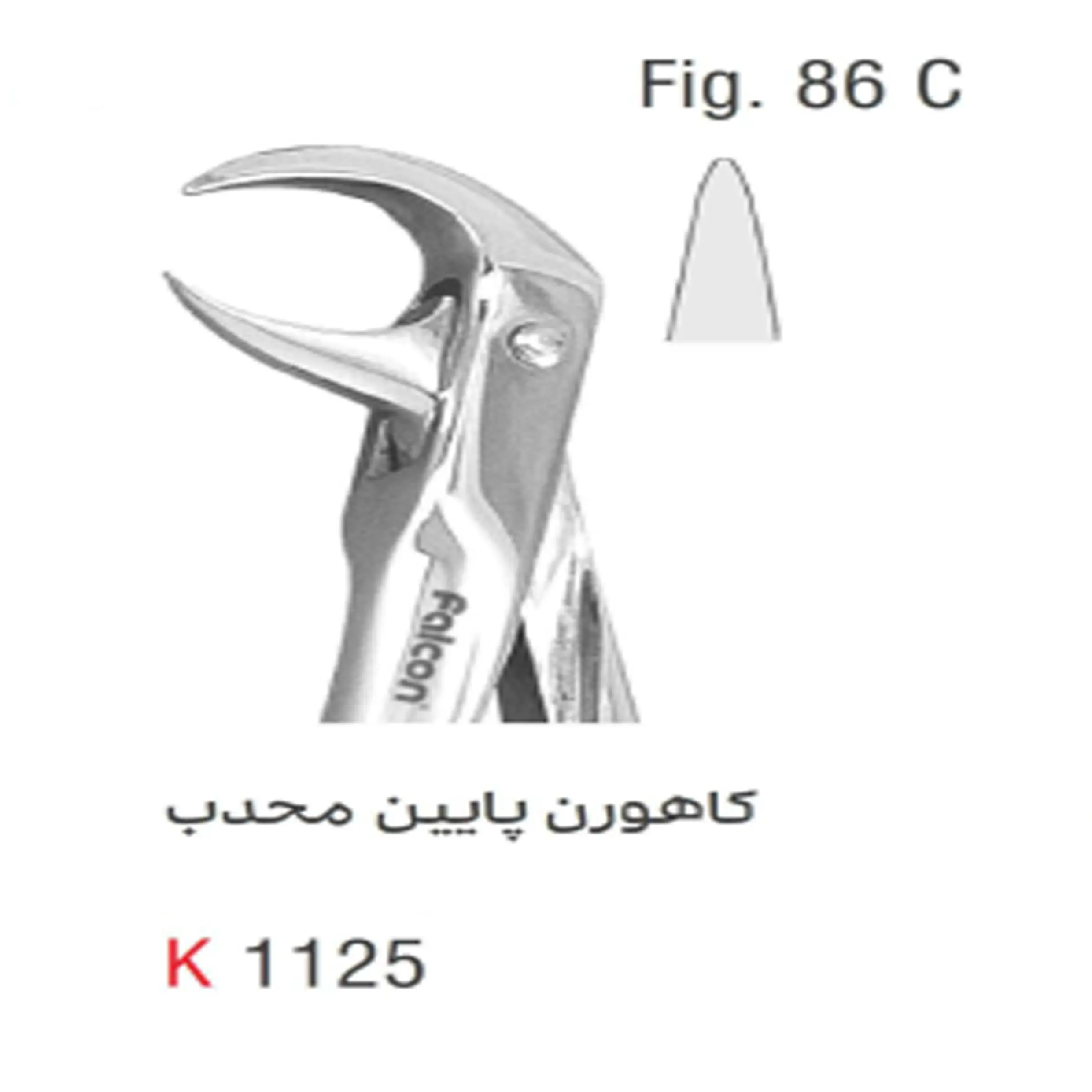 فورسپس بزرگسال کاهورن پایین محدب- کوشا