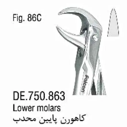 فورسپس ساده بزرگسال کاهورن پایین محدب- فالکن