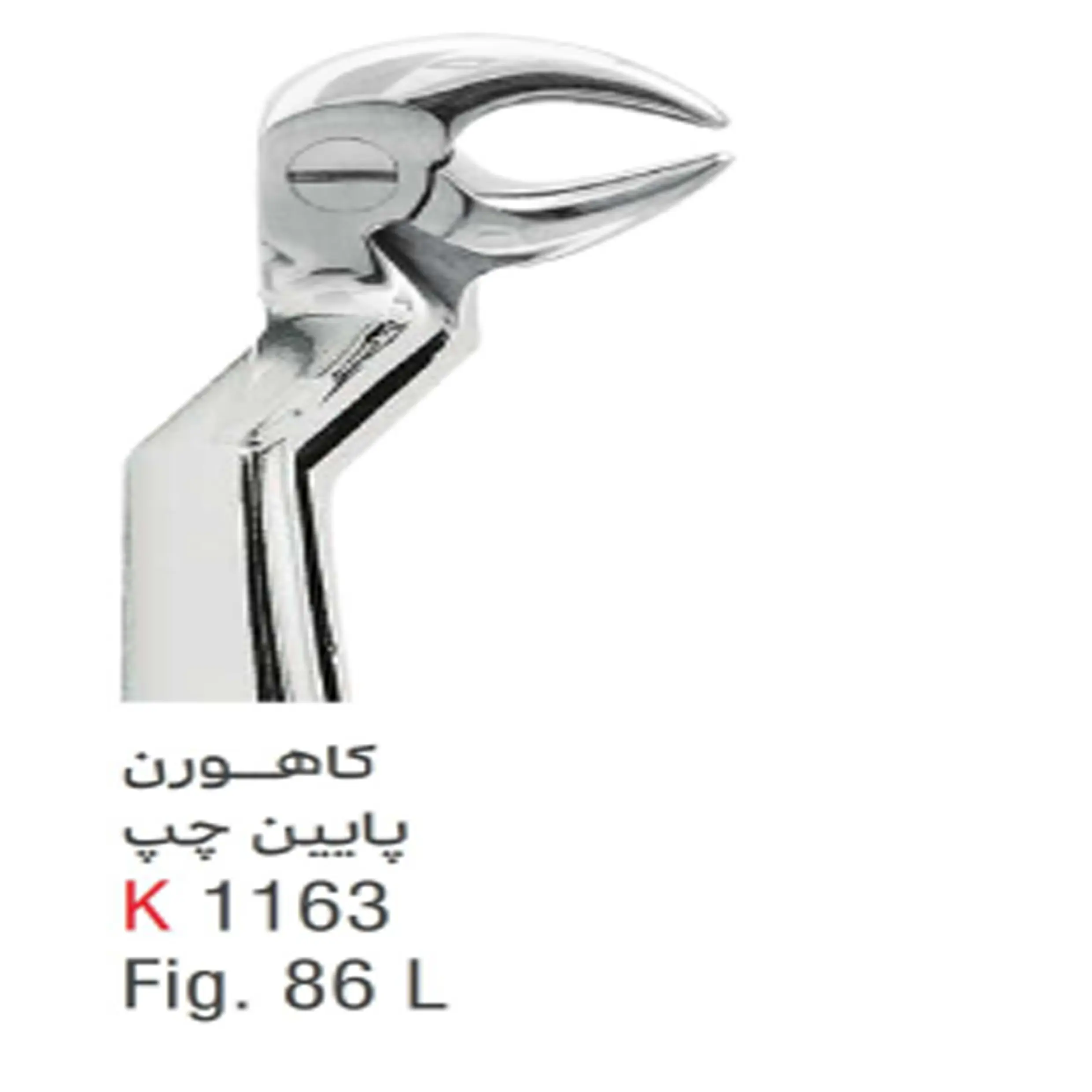 فورسپس بزرگسال کاهورن پایین چپ- کوشا