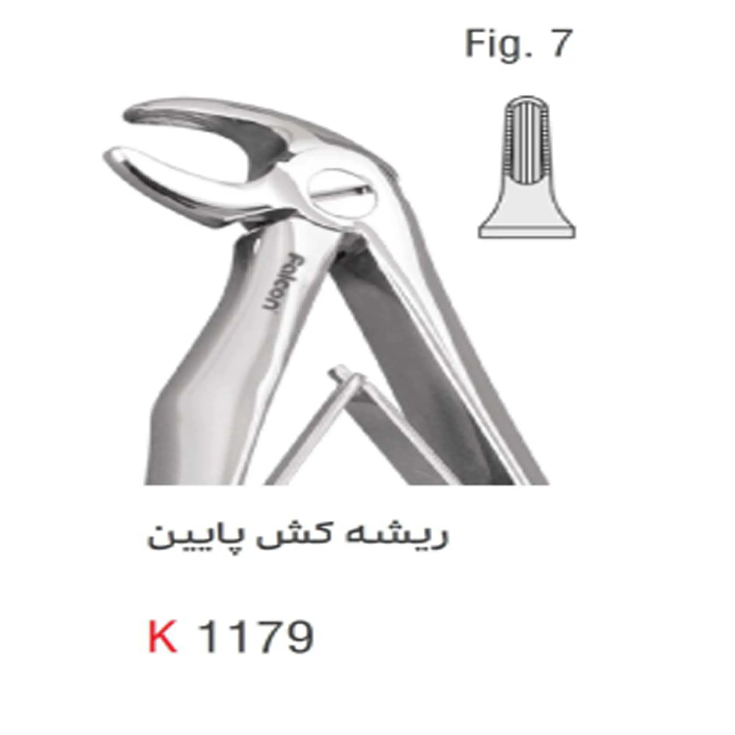 فورسپس اطفال فنردار ریشه کش پایین- کوشا