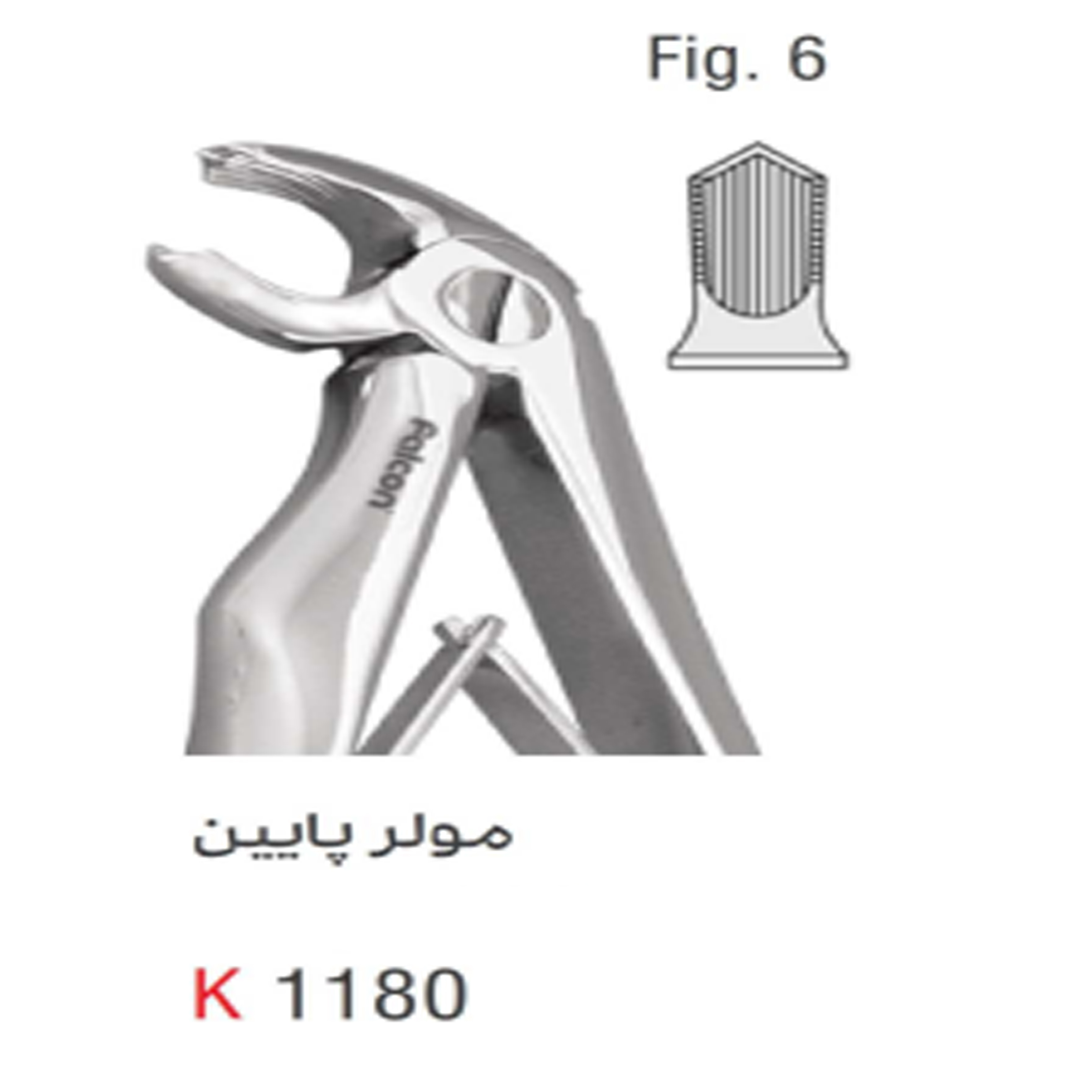 فورسپس اطفال مولر پایین (Kousha) - 1