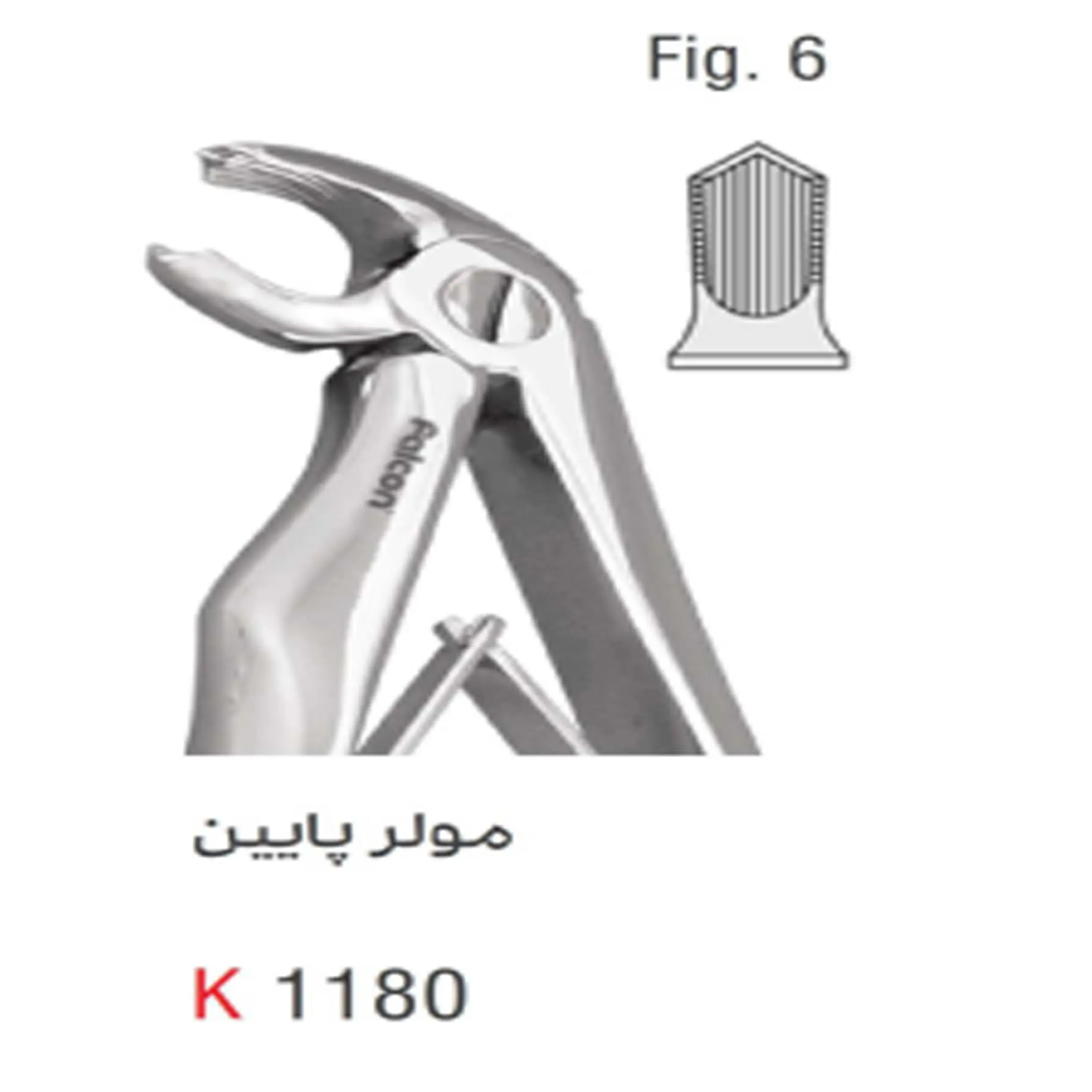 فورسپس اطفال فنردار مولر پایین- کوشا