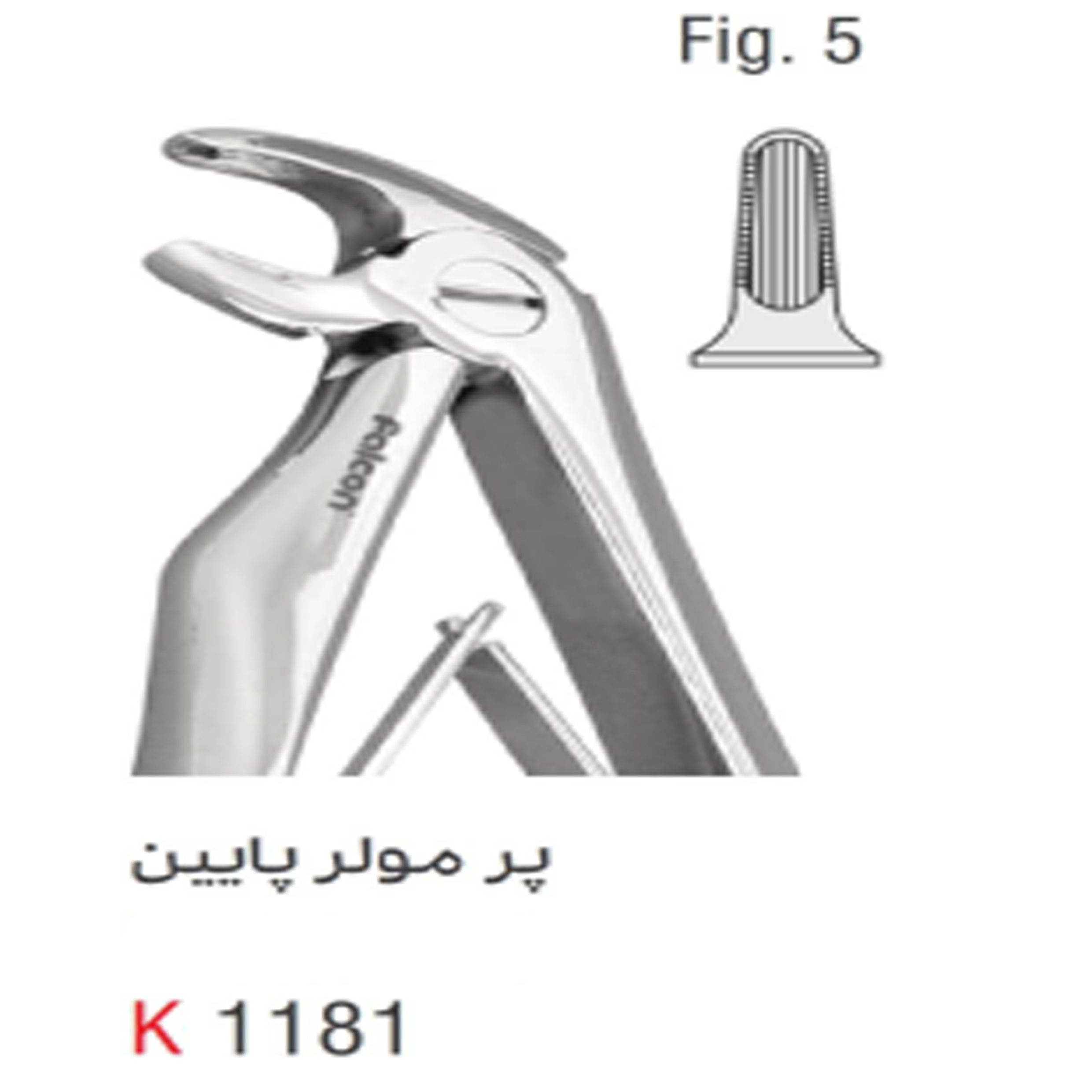 فورسپس اطفال سانترال پایین (Kousha)