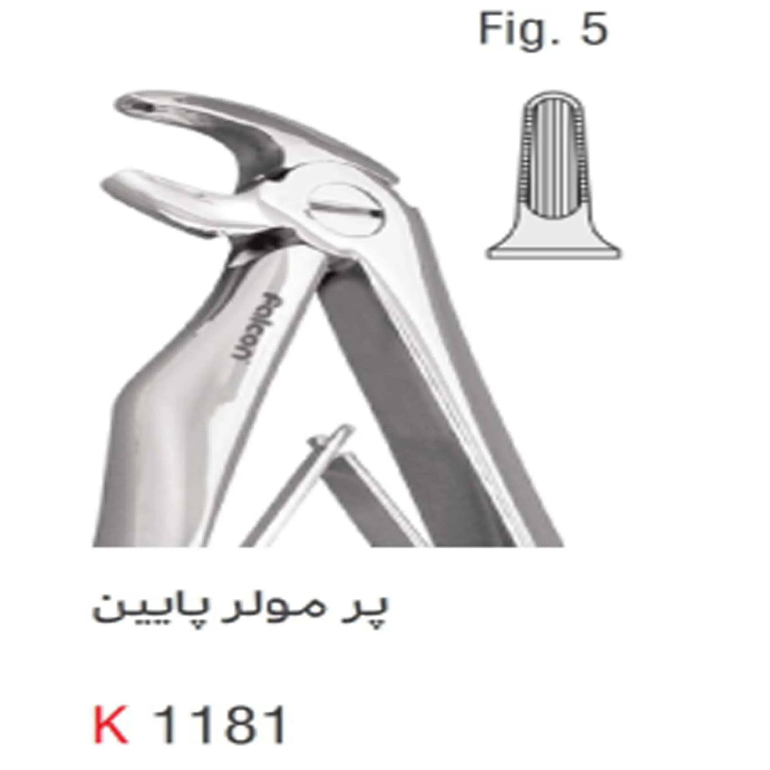 فورسپس اطفال فنردار  پرمولر پایین- کوشا