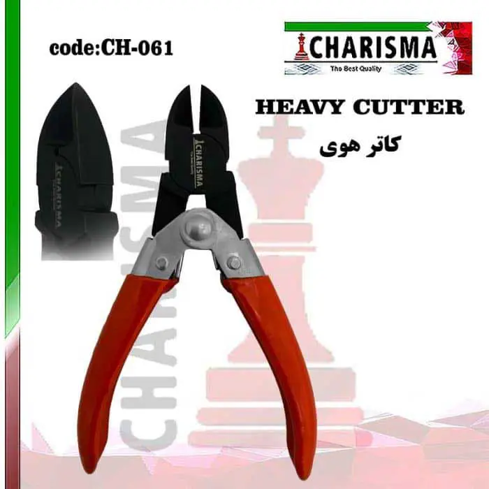 هوی کاتر- کاریزما