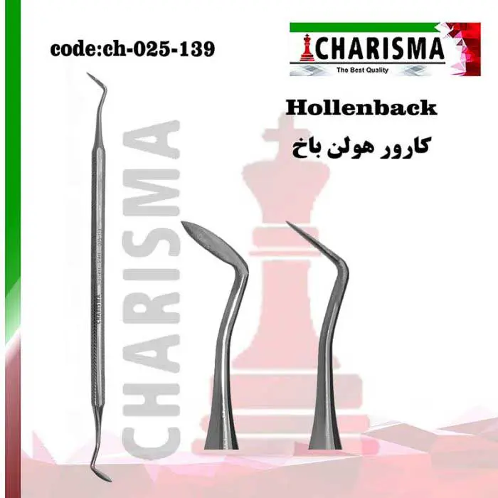 کارور هولن باخ- کاریزما