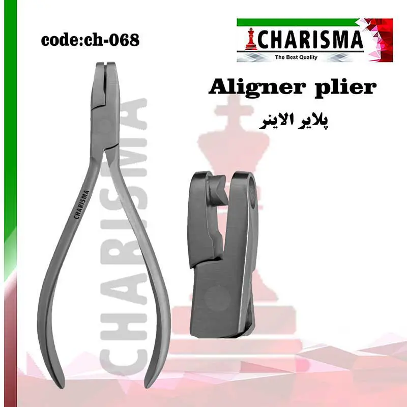 پلایر الاینر -کاریزما - 5