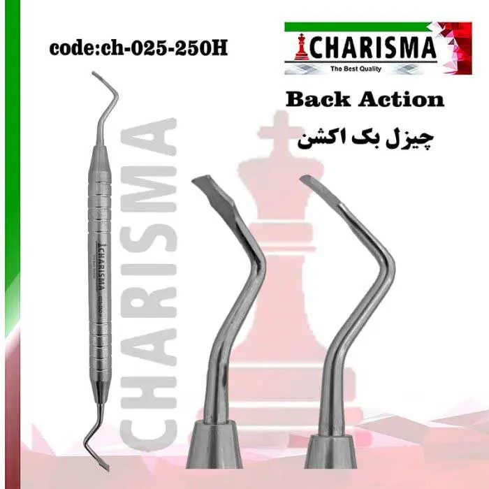چیزل بک اکشن هالو -کاریزما