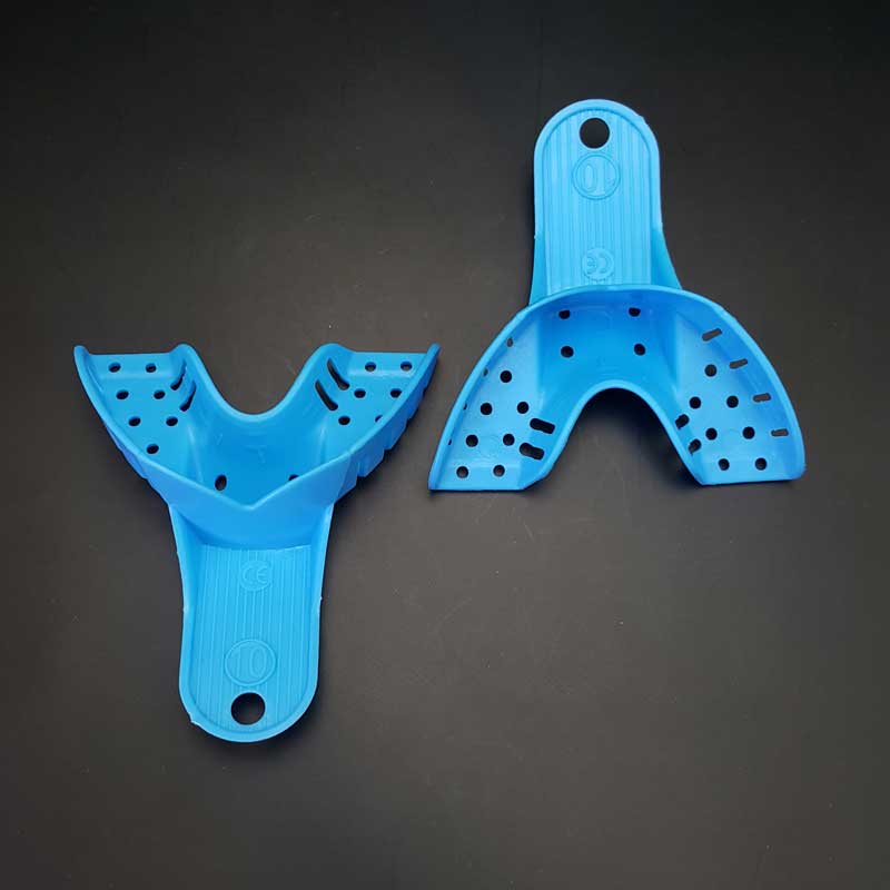 تری با دندان قدامی - 2