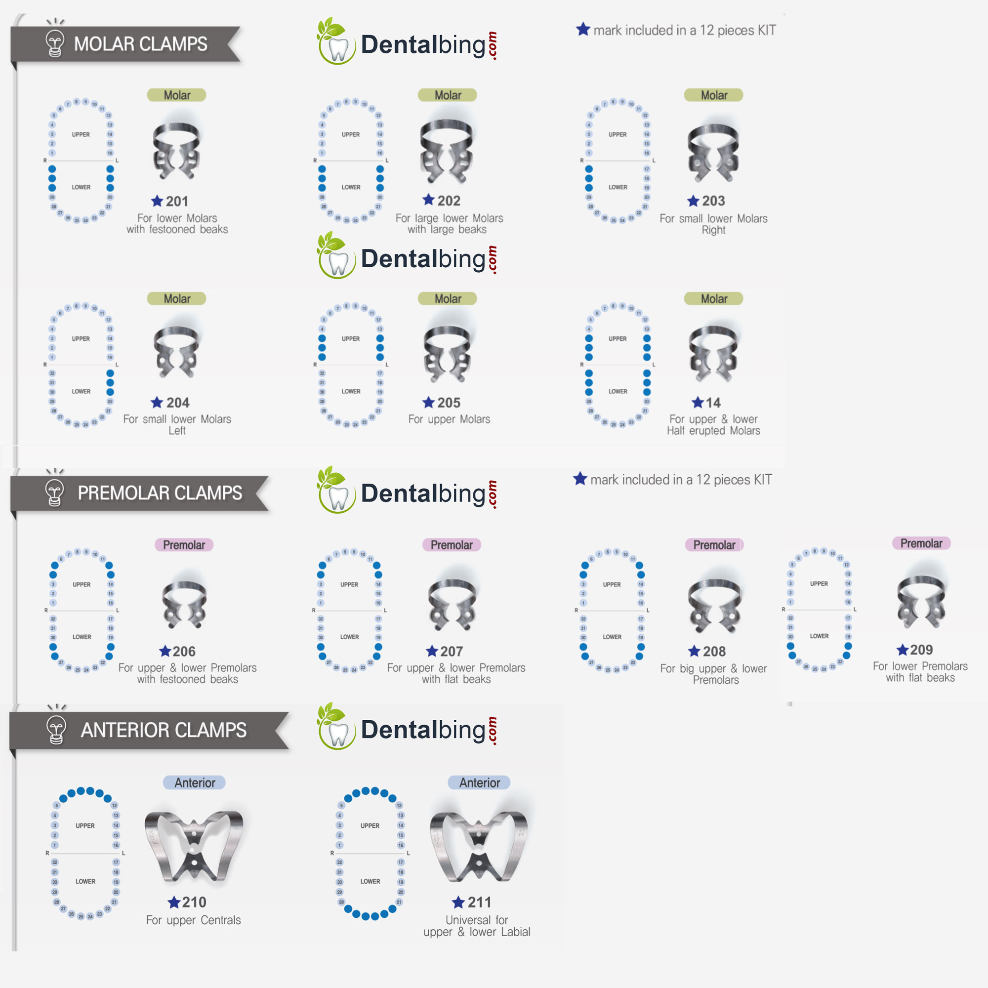 ست کلمپ دندان شیری شین هانگ k-clamp - 5