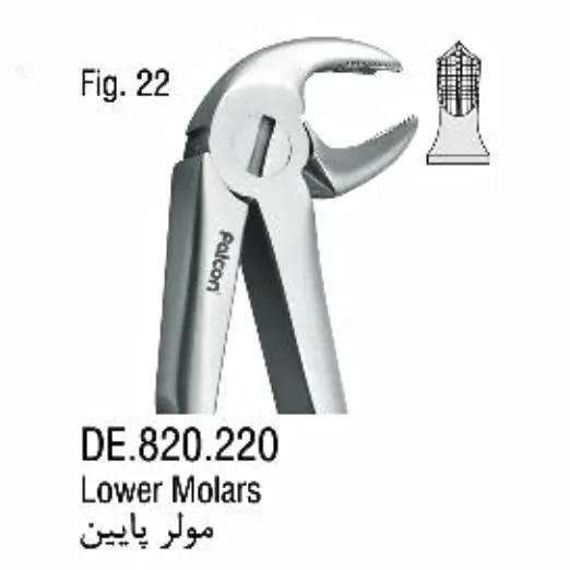فورسپس آناتومیک مولر پایین- فالکن