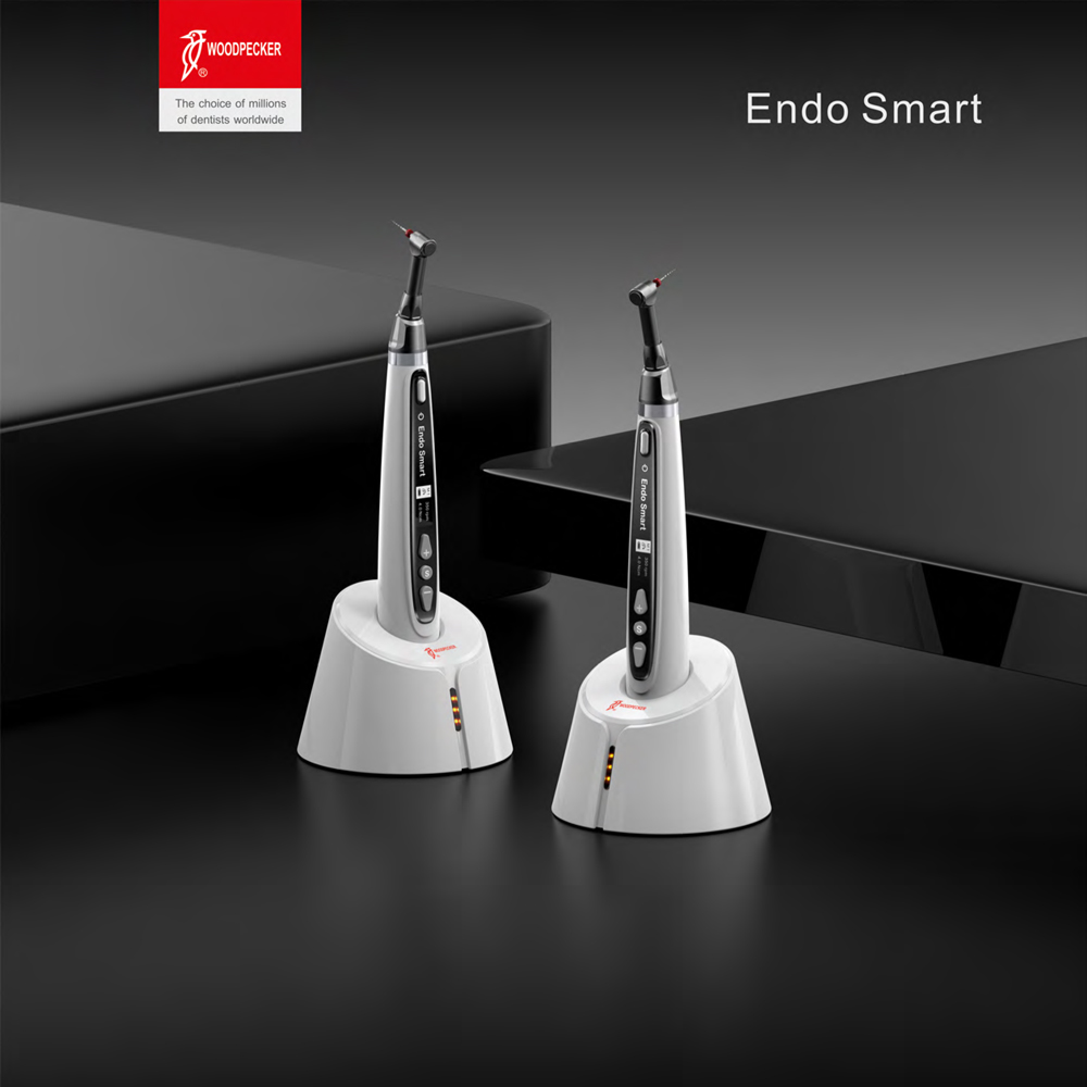 موتور اندو بیسیم/Endo Smart Gold