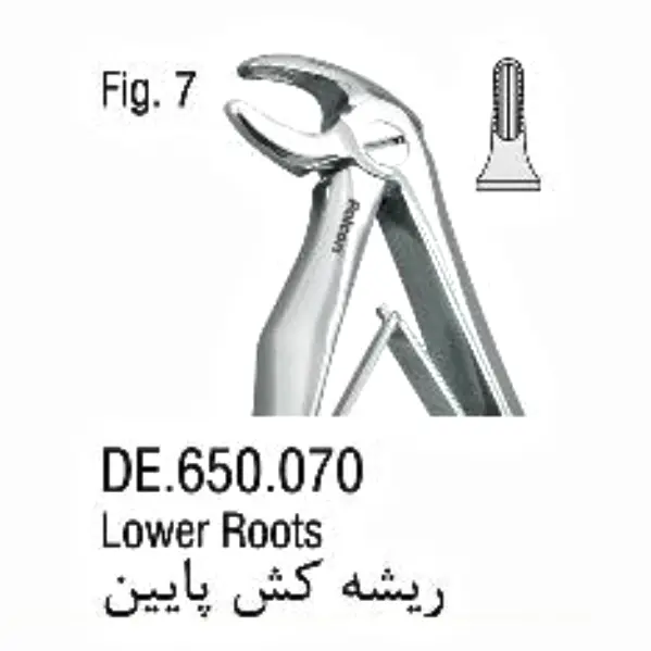 فورسپس اطفال فنردار ریشه کش پایین- فالکن