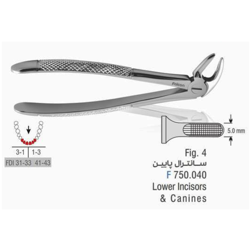 فورسپس ساده سانترال پایین- فالکن