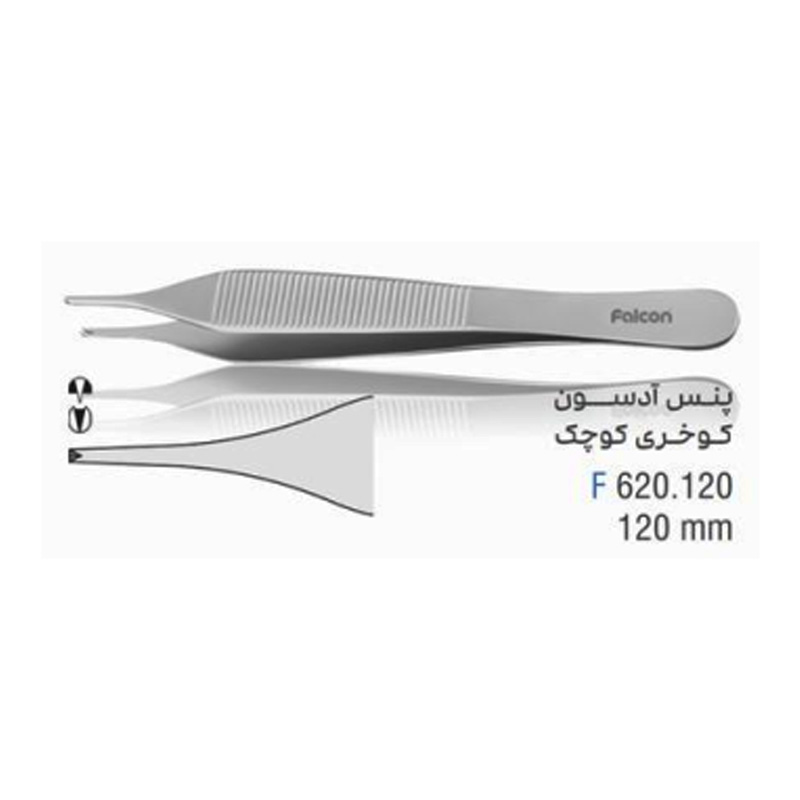 پنس آدسون کوخری فالکن