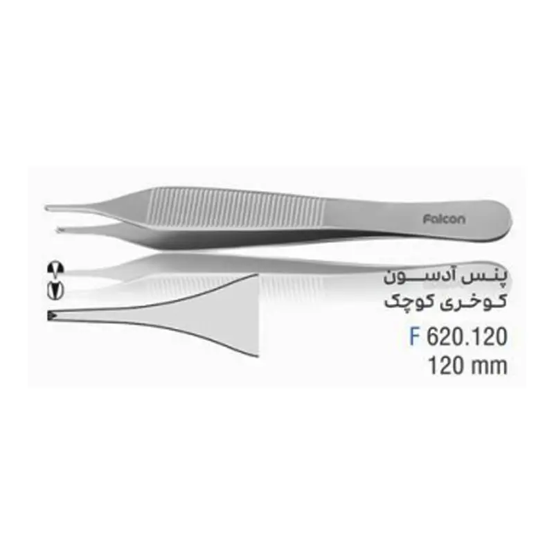 پنس آدسون کوخری- فالکن